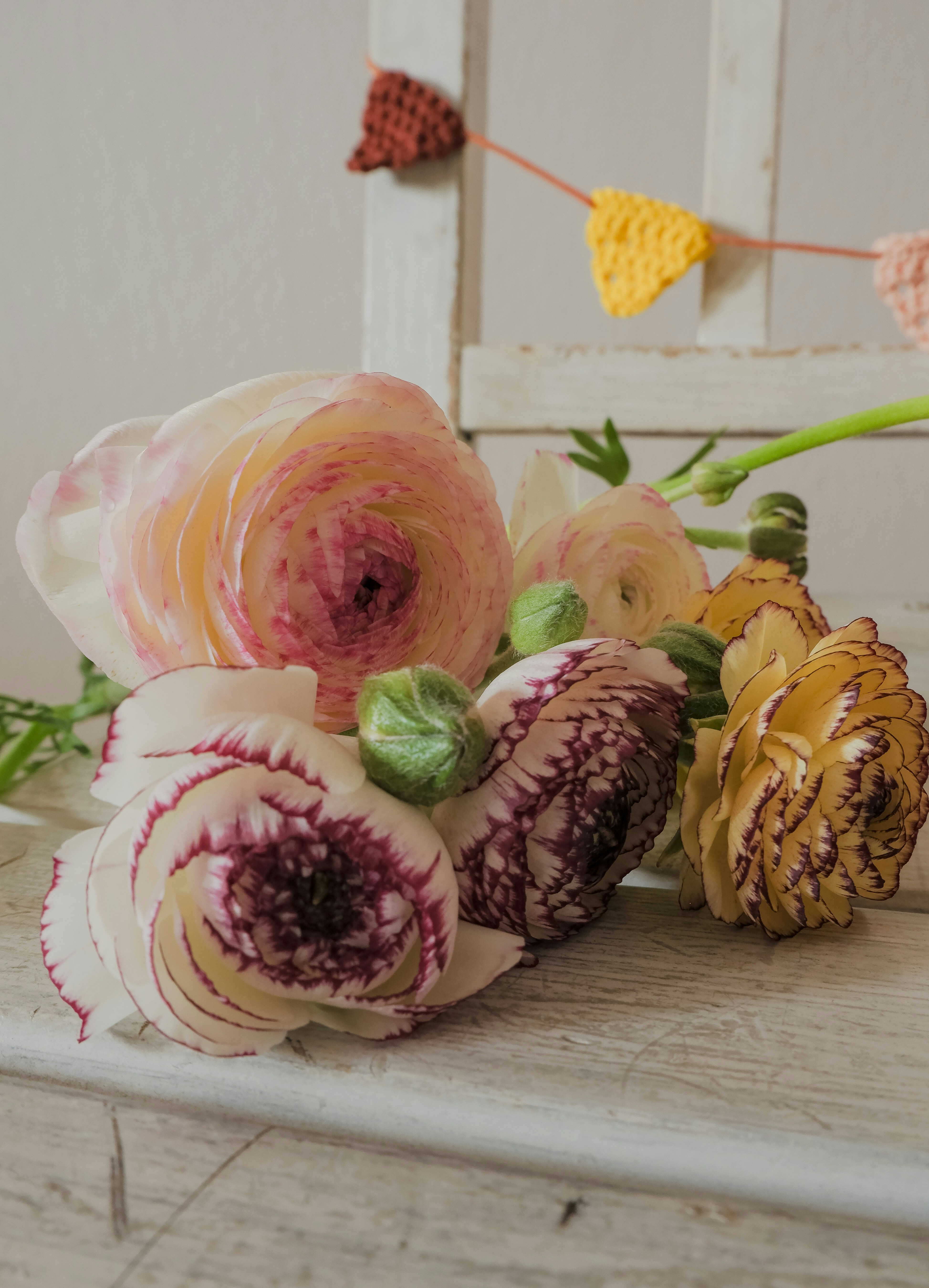 Photo by giulia_bertelli