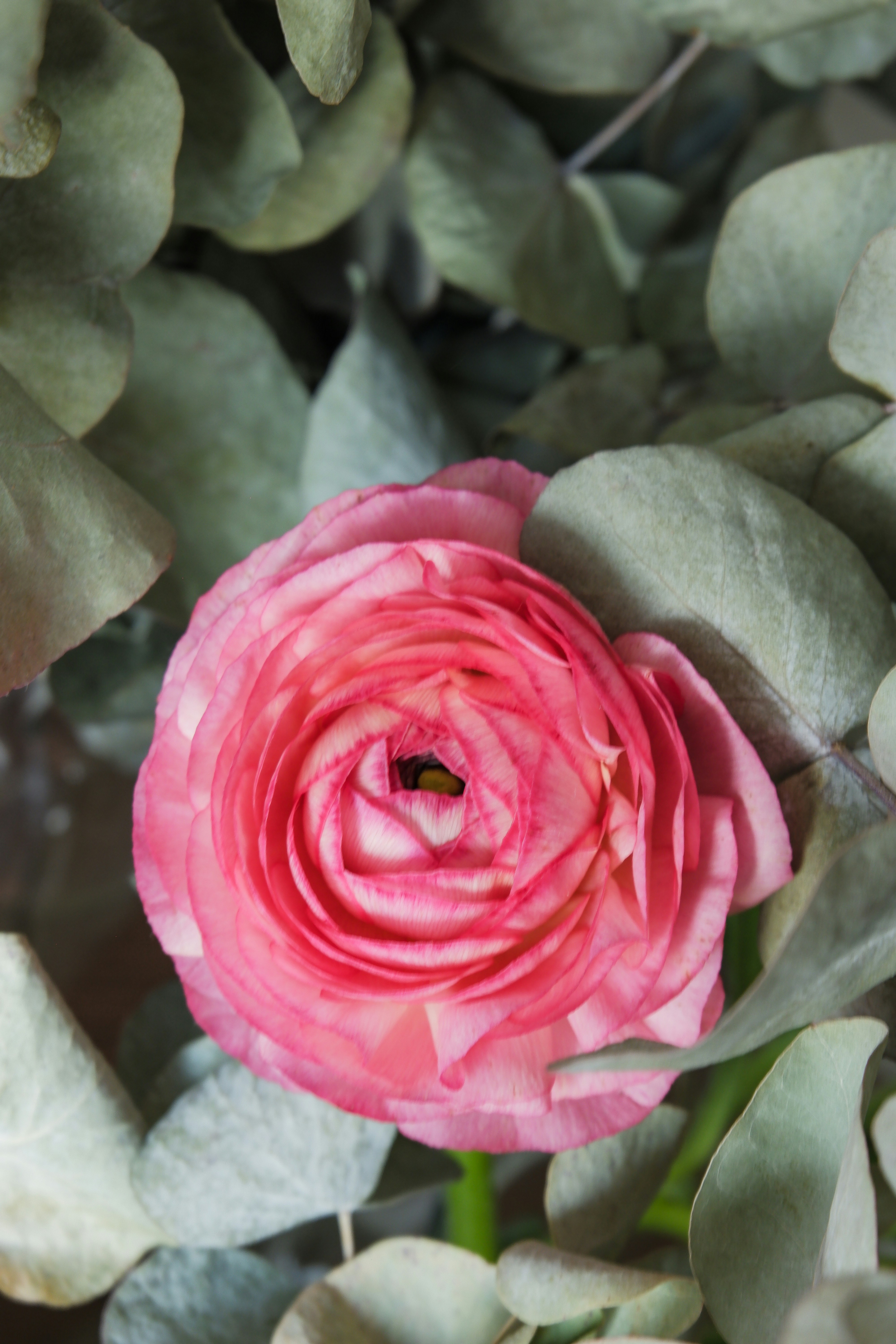 Photo by giulia_bertelli