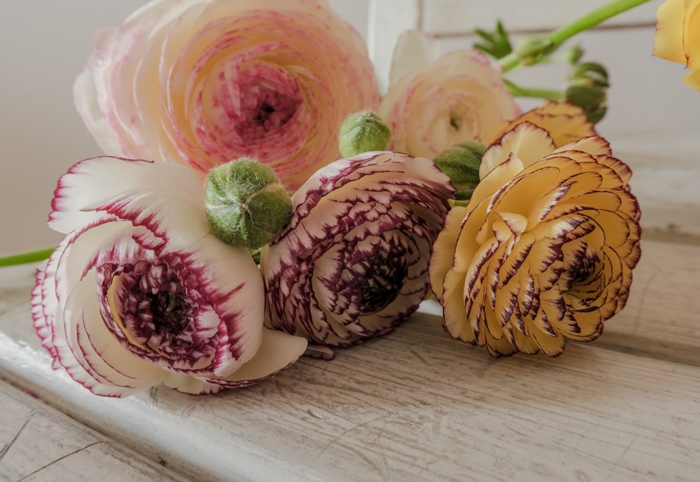 a group of colorful flowers