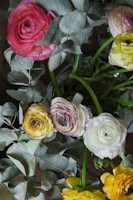 A variety of ranunculus flowers in pink, yellow, and white are arranged with green stems and silvery eucalyptus leaves. The petals are layered and delicate, with some flowers having a slight hint of purple at the edges.