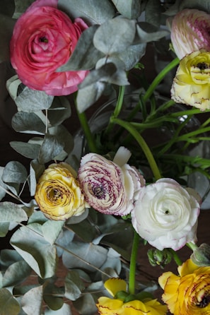 A variety of ranunculus flowers in pink, yellow, and white are arranged with green stems and silvery eucalyptus leaves. The petals are layered and delicate, with some flowers having a slight hint of purple at the edges.