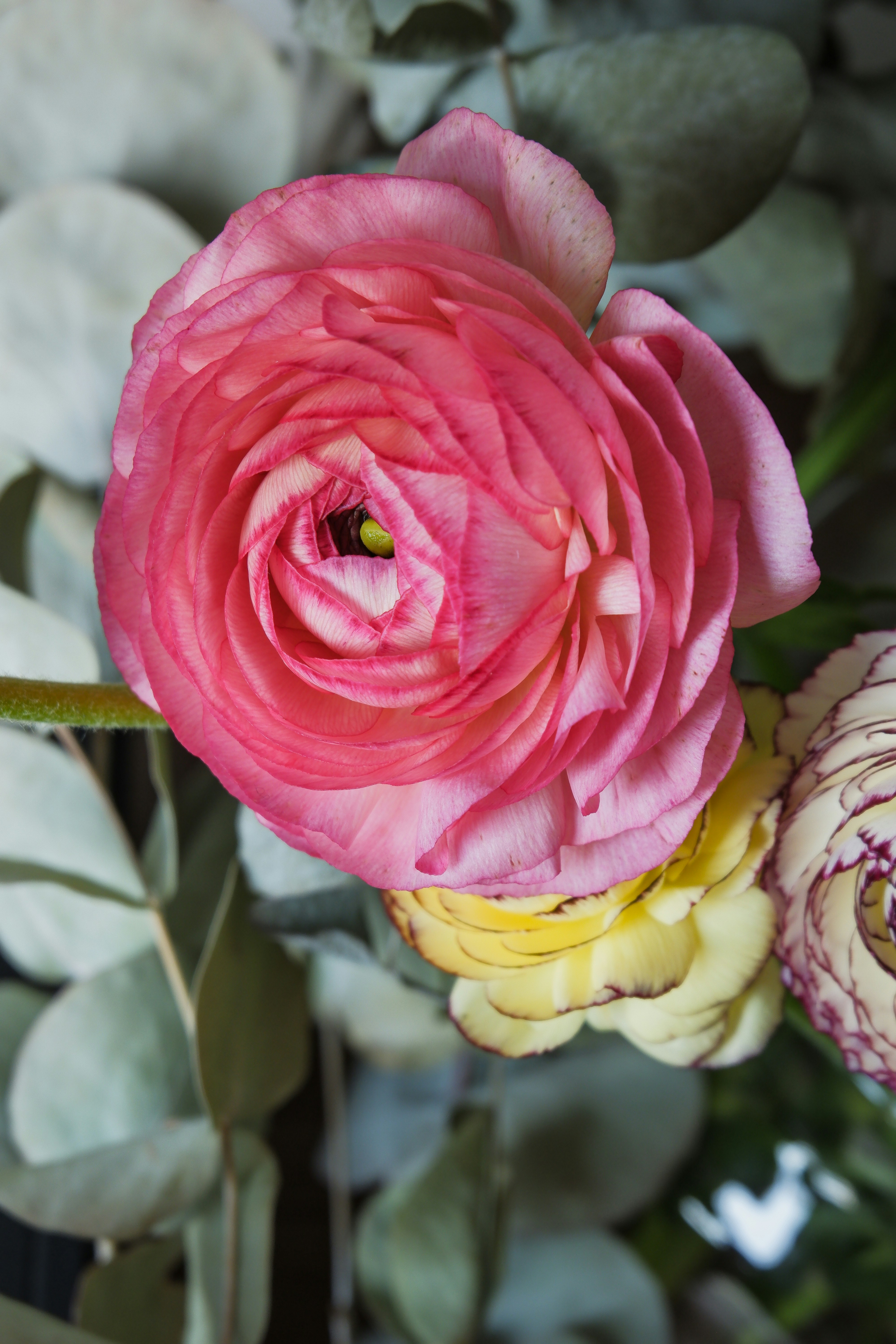 Photo by giulia_bertelli