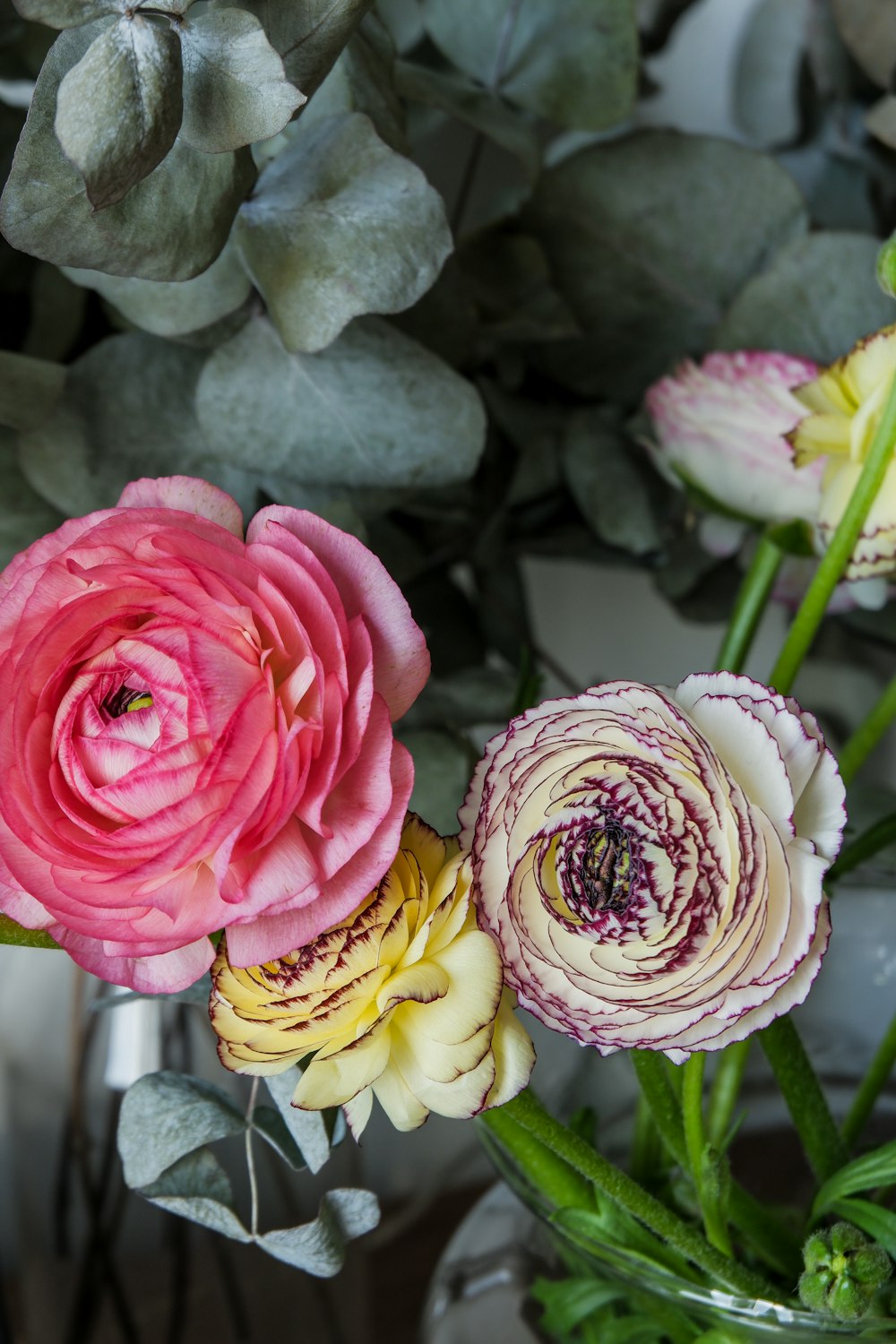 a group of flowers