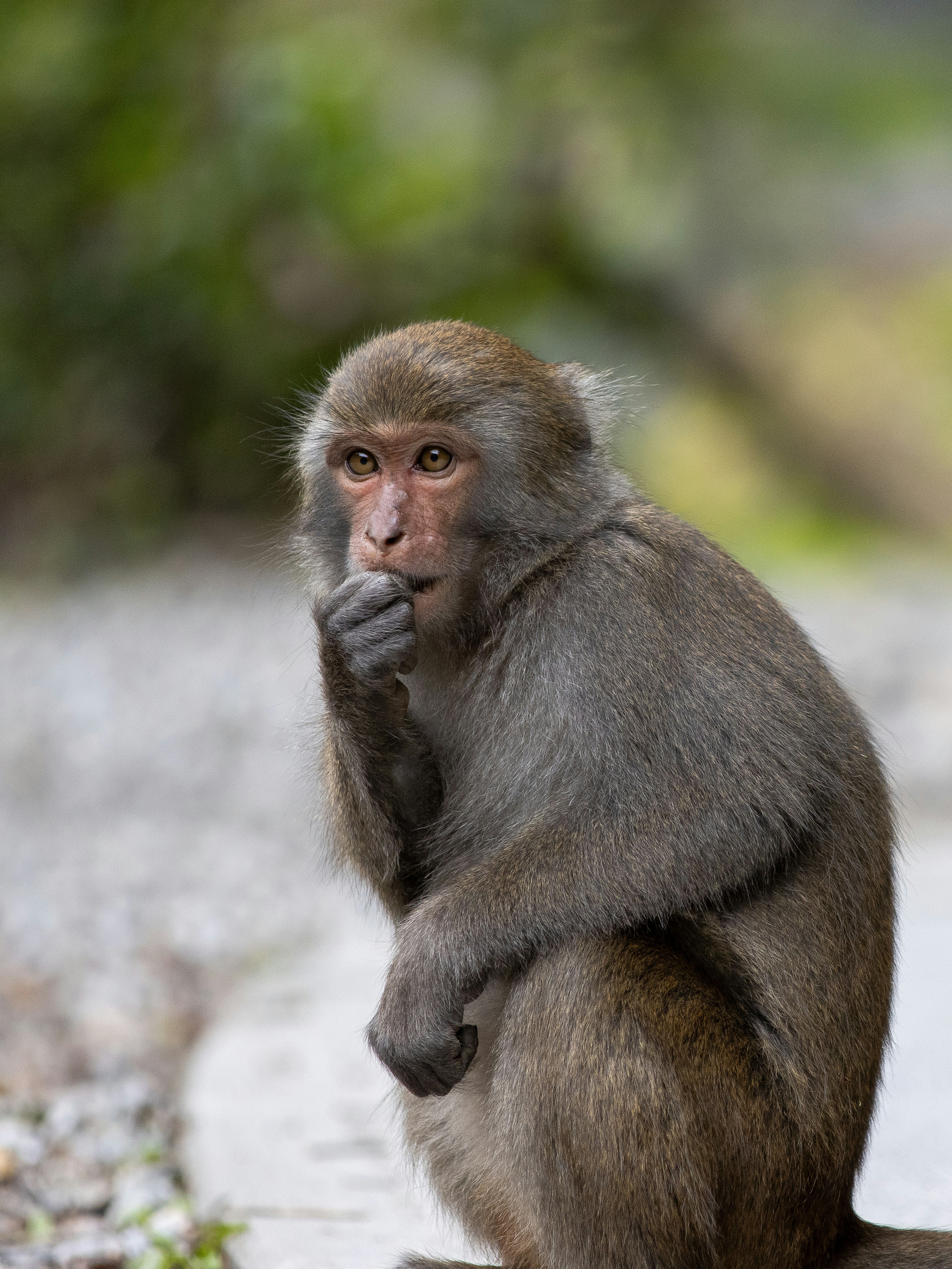 Photo by jeffreychai