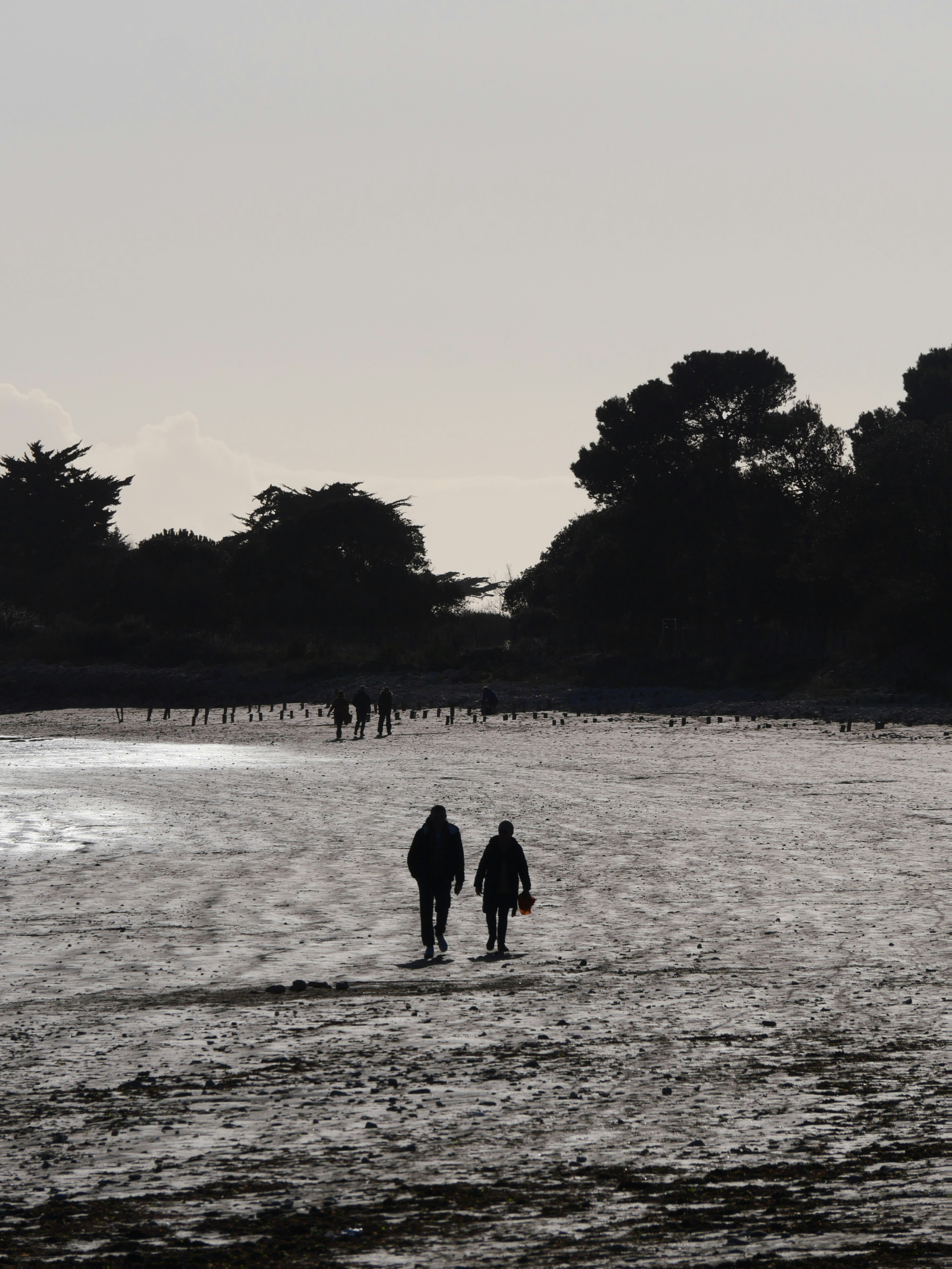 Gente caminando en el agua