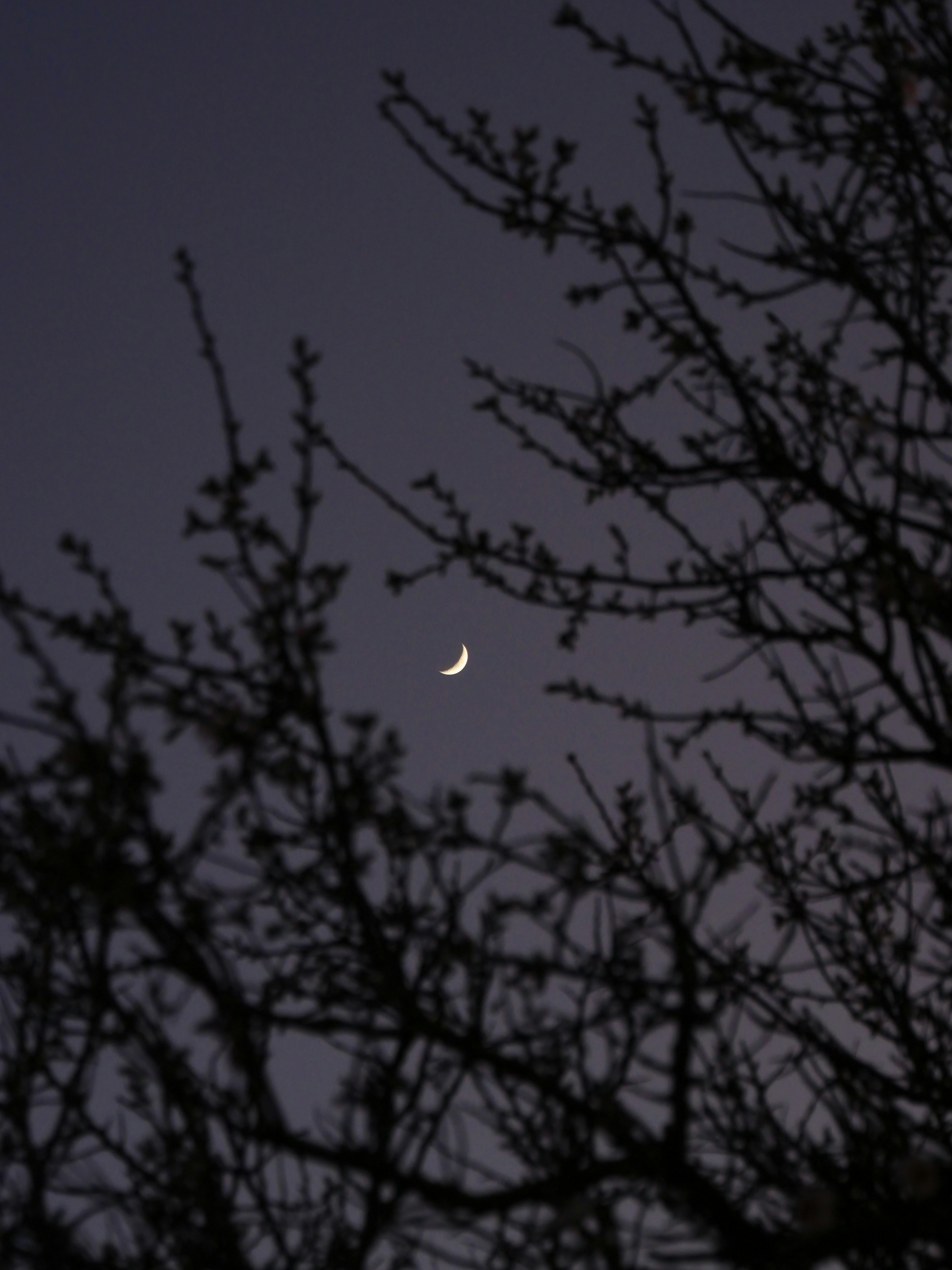 Photo by nimbus_vulpis