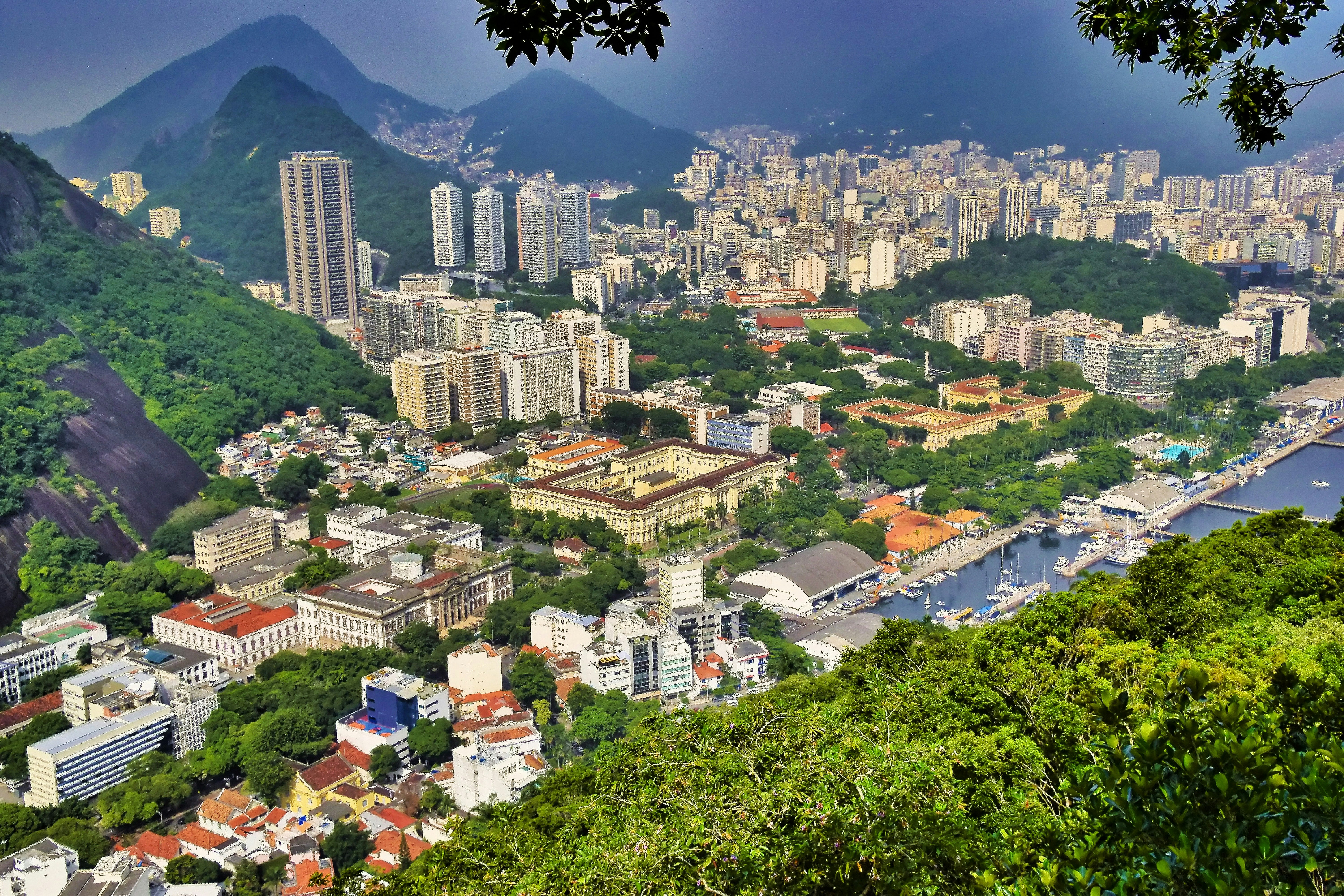 Una città con molti edifici e alberi