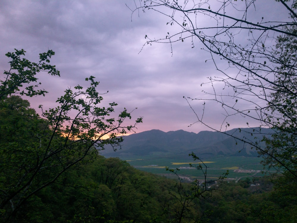 a view of a valley with trees and mountains in the background