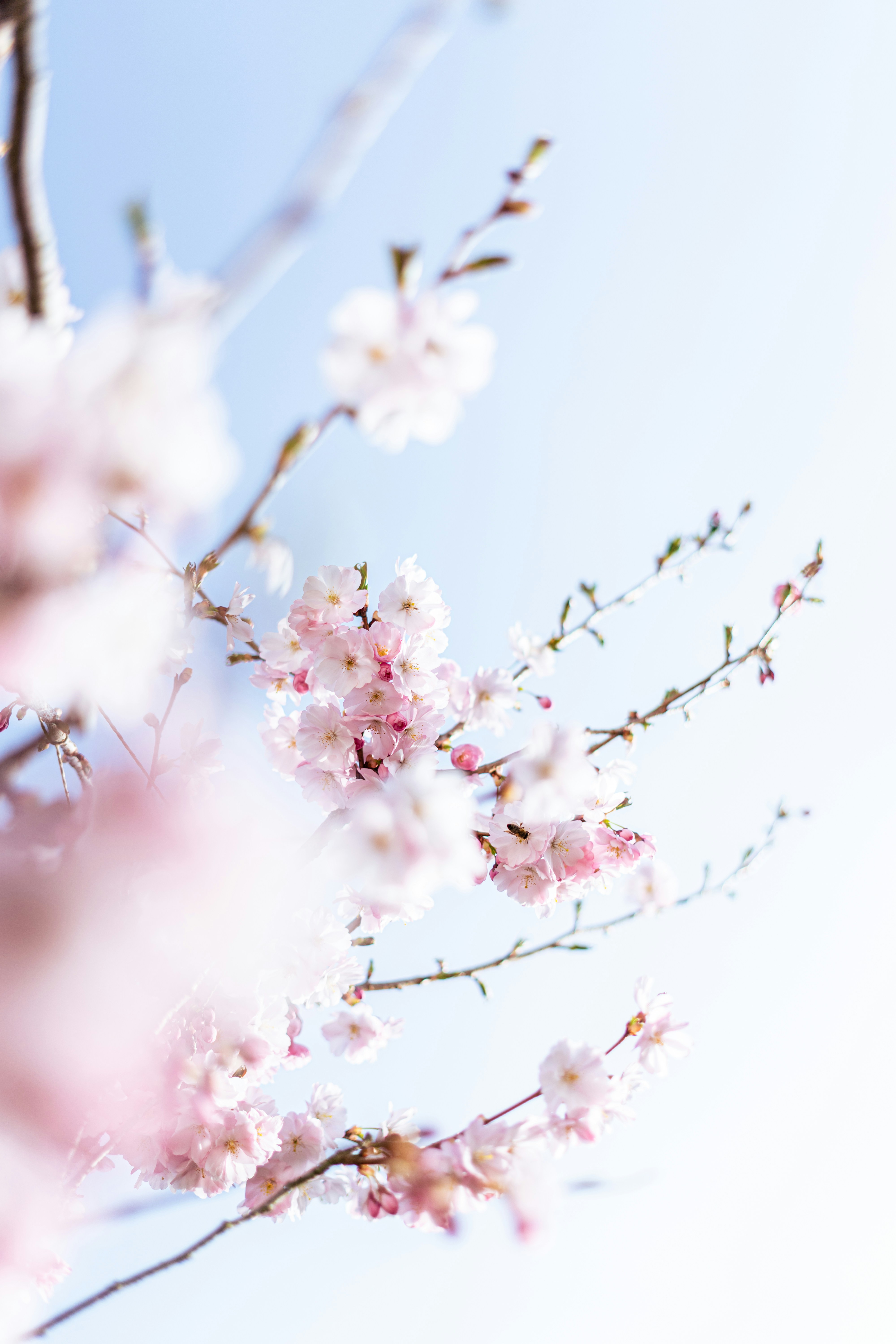 Photo by virussinside