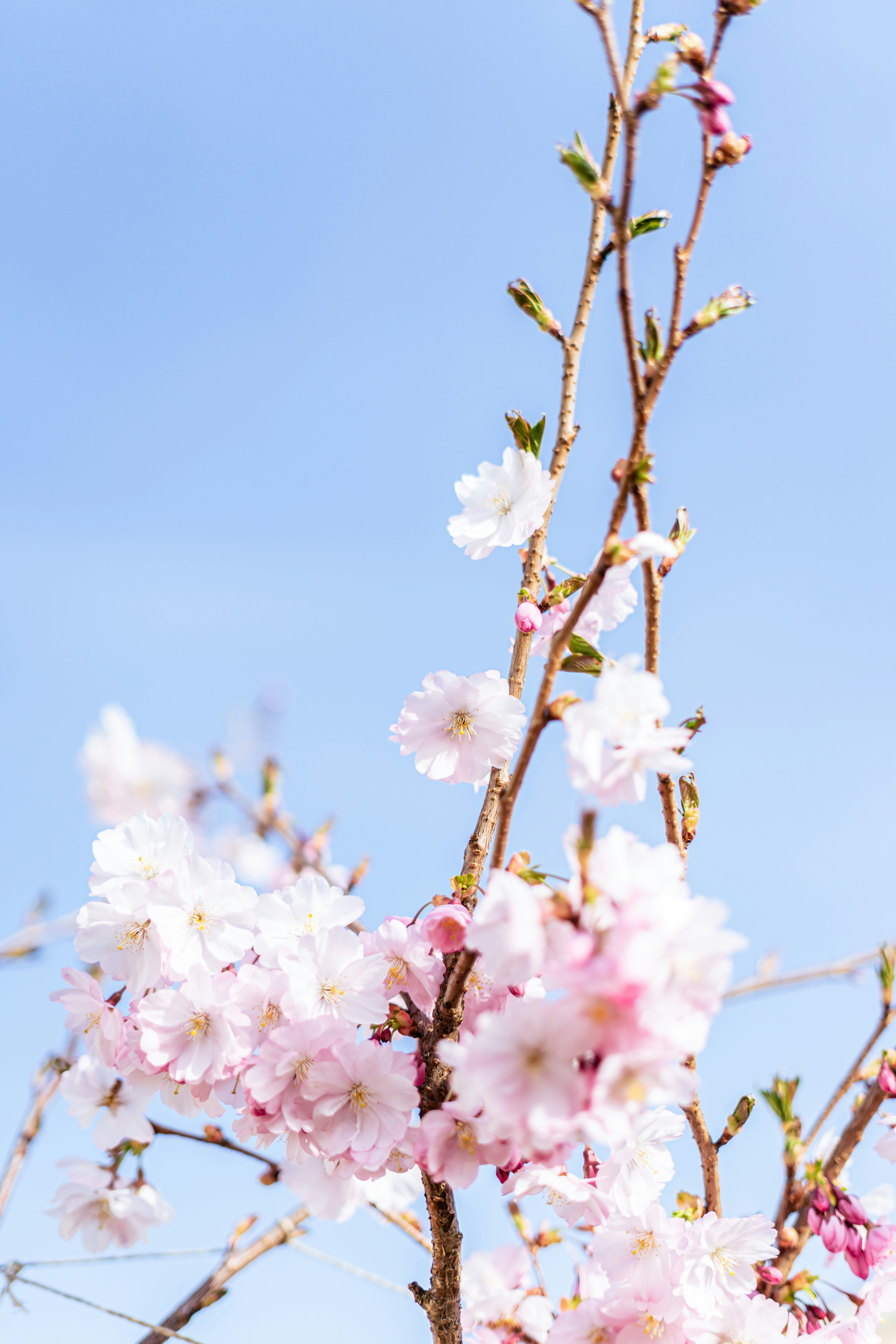 Photo by virussinside