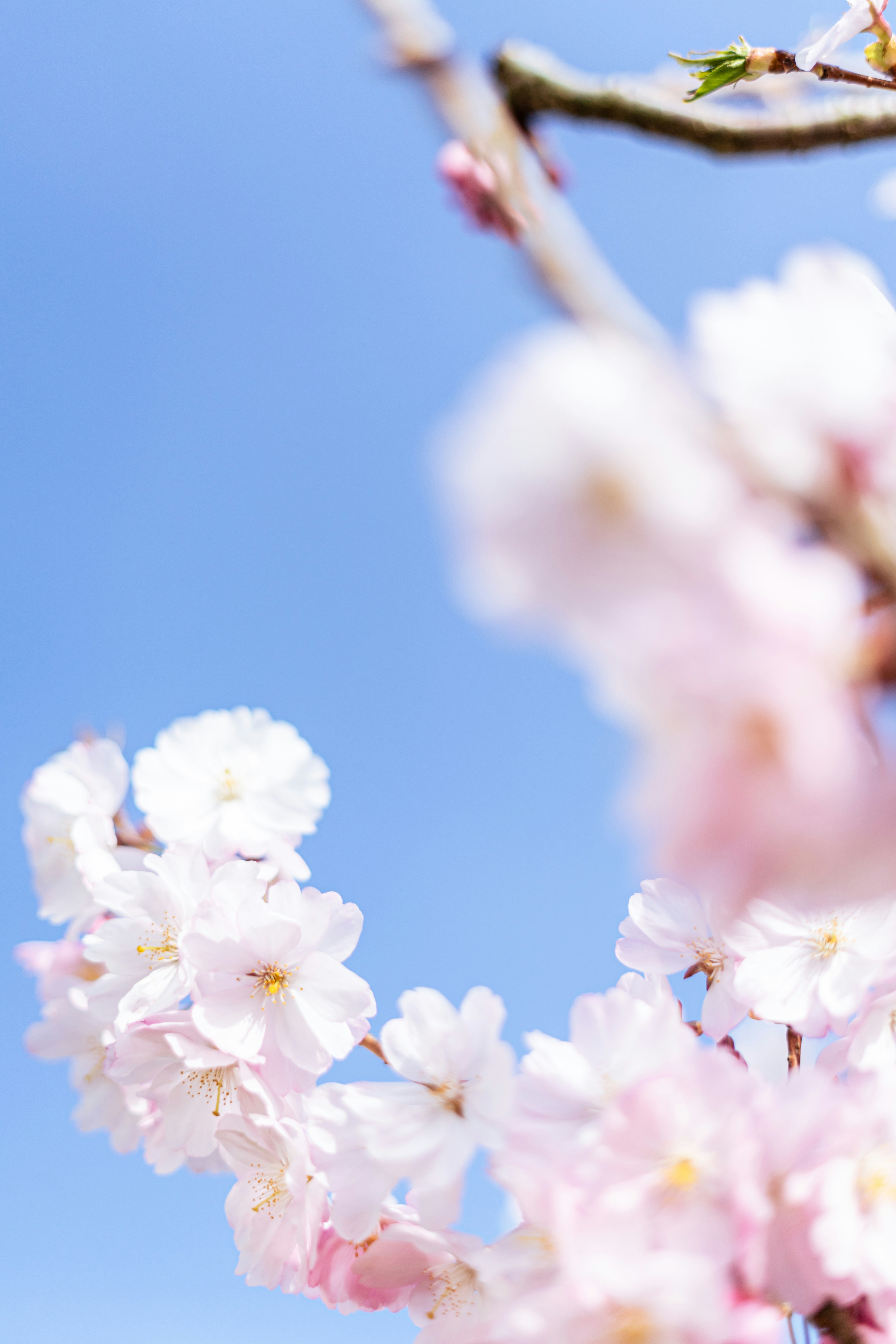 Photo by virussinside