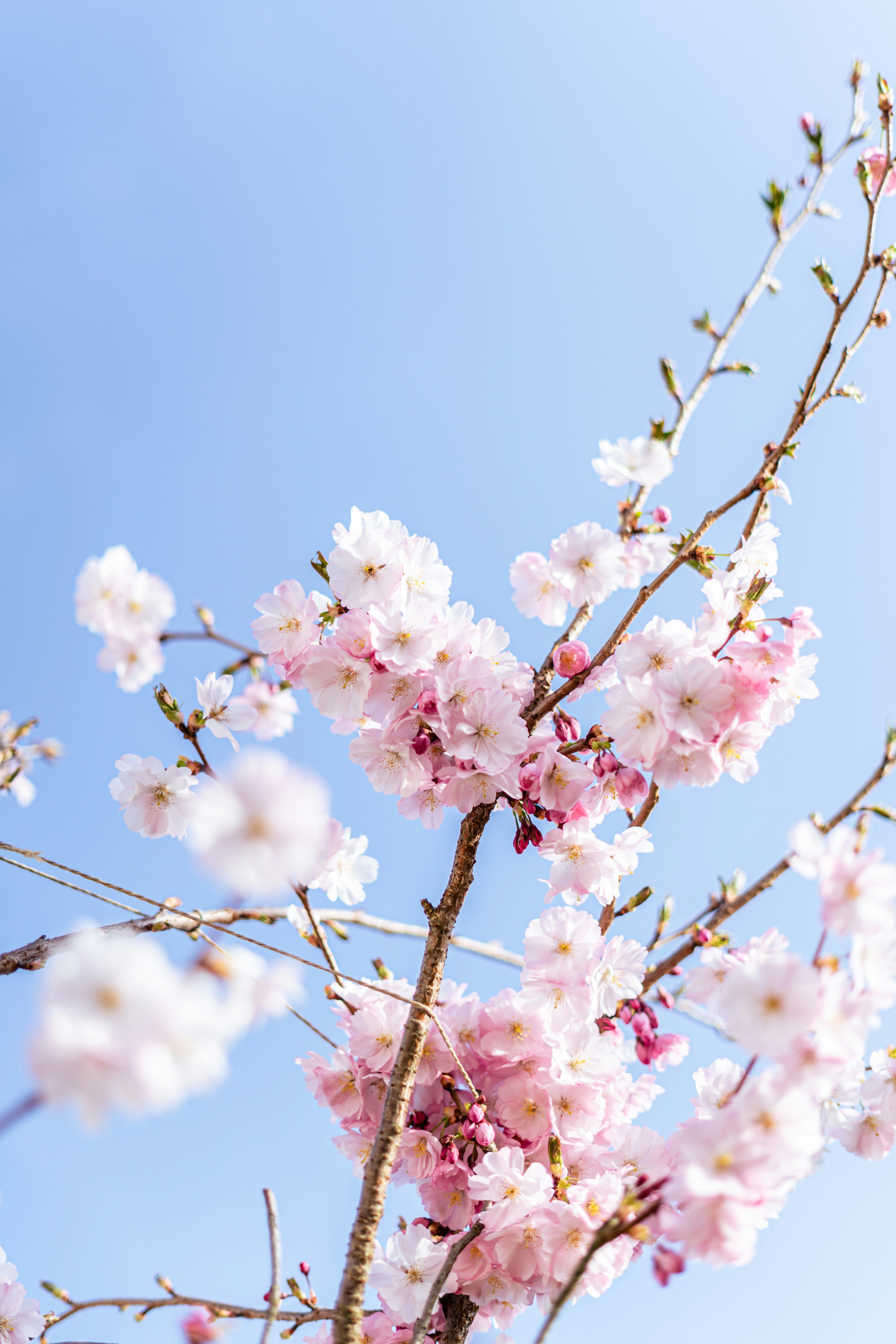 Photo by virussinside