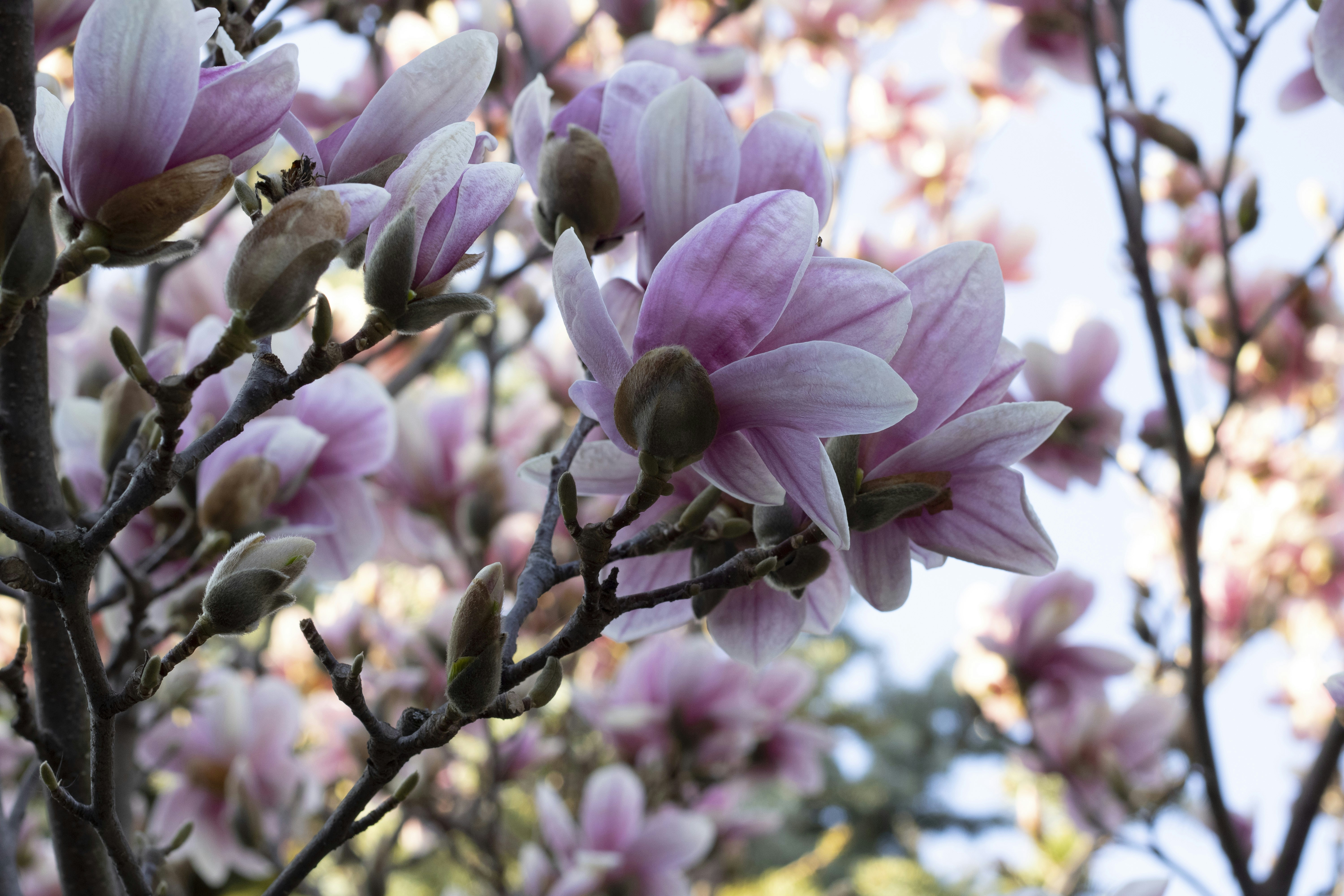 Photo by albertdavid6