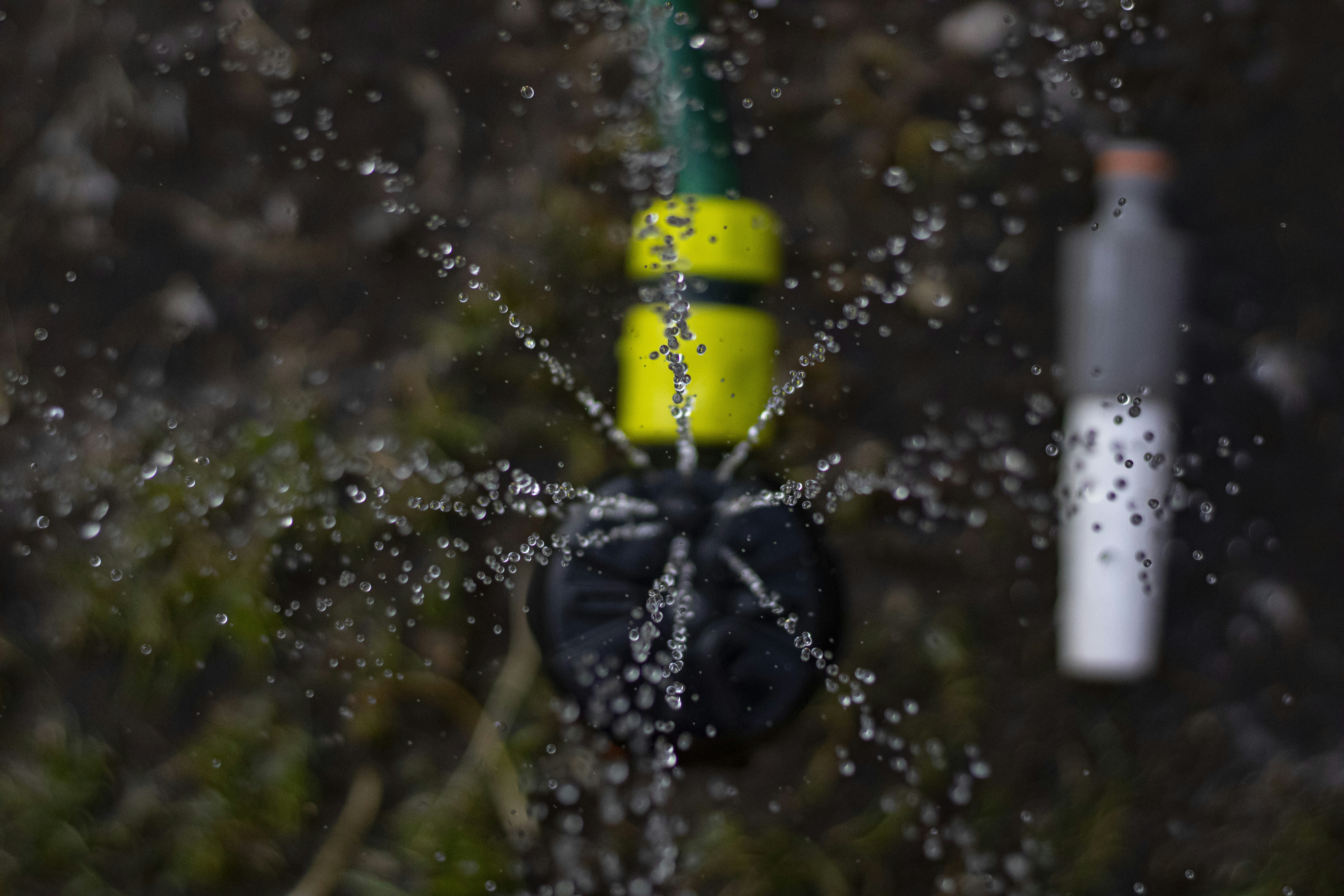 Close-up of drip irrigation droplet on a leaf