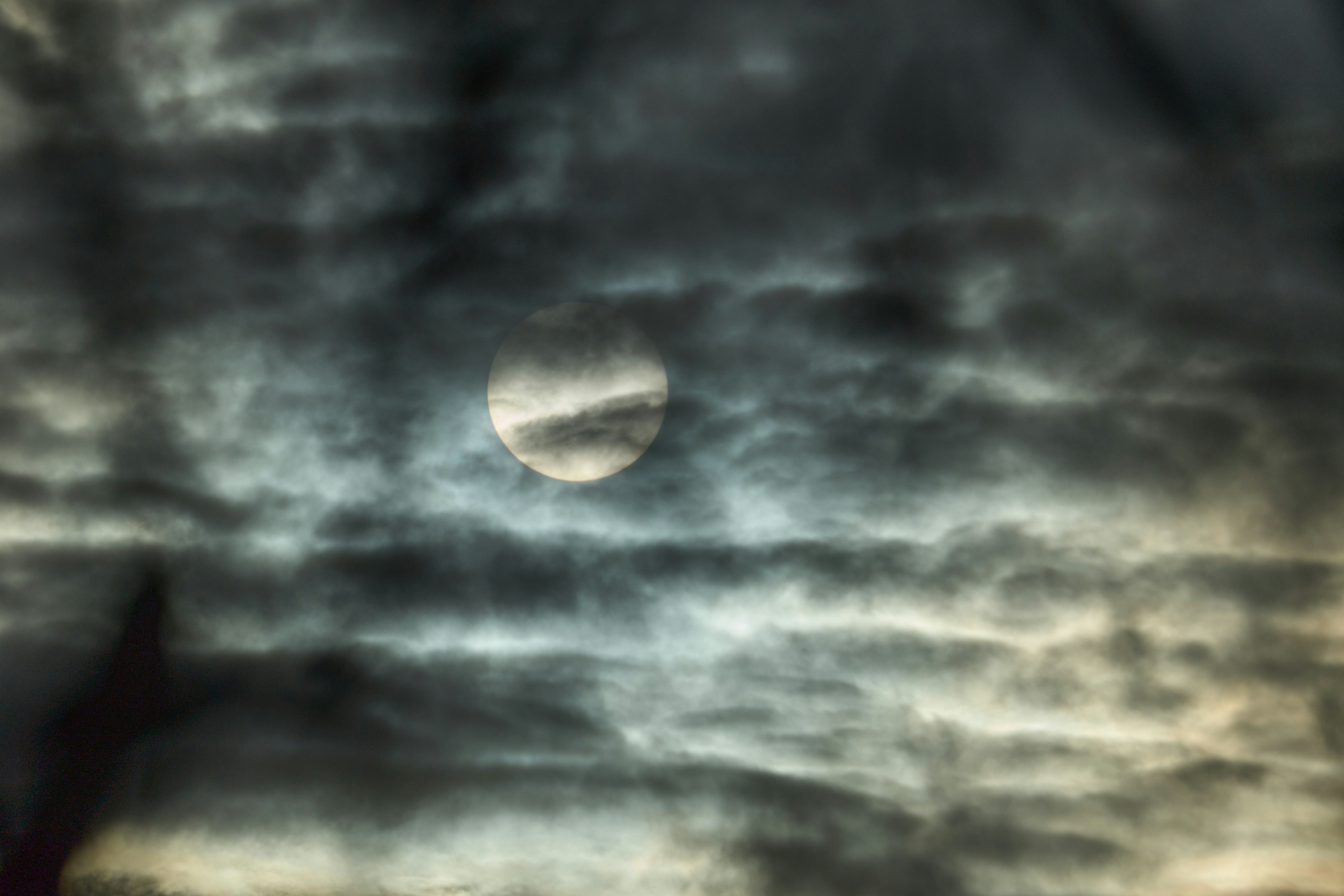 Photo by wolfgang_hasselmann