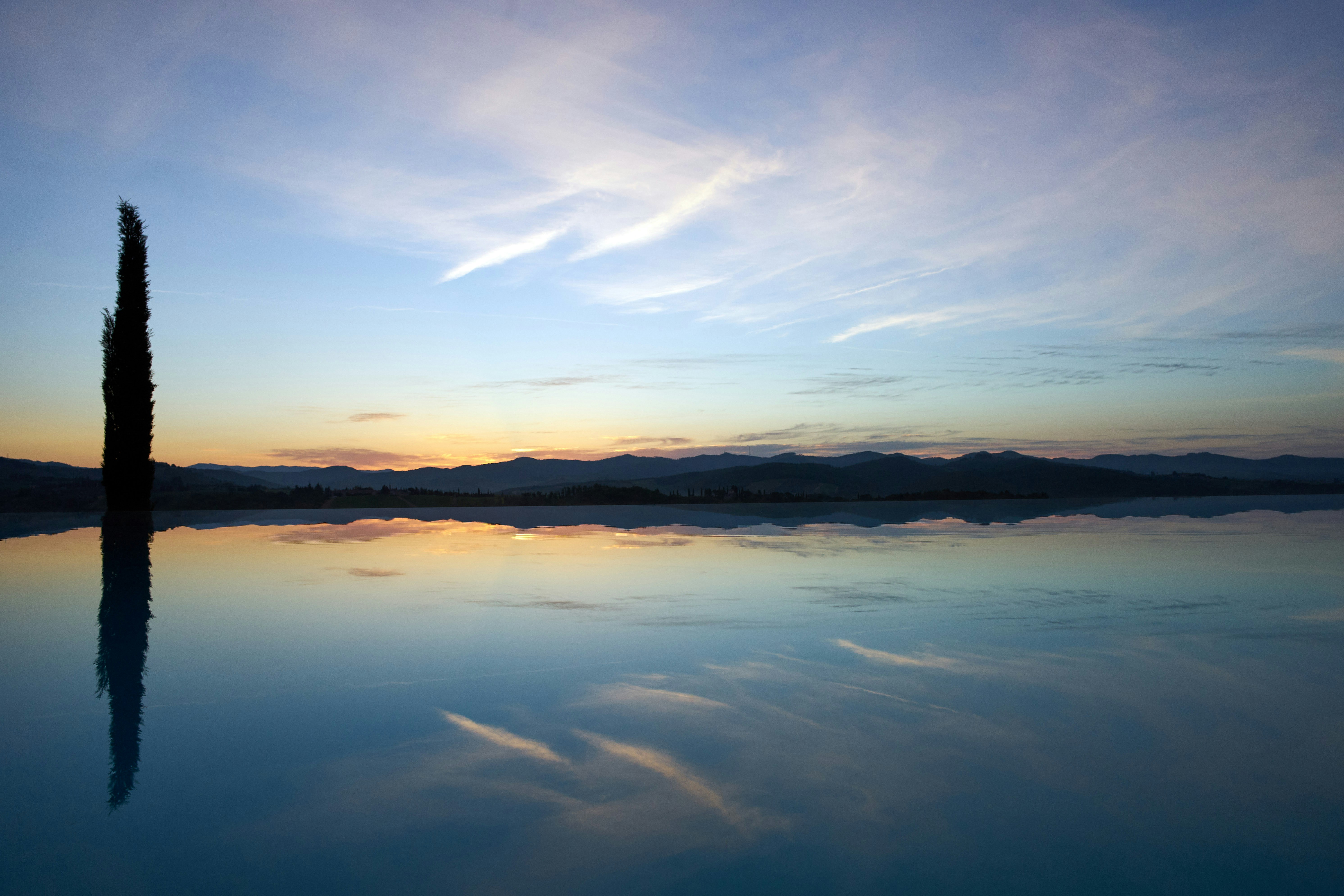 Photo by wolfgang_hasselmann