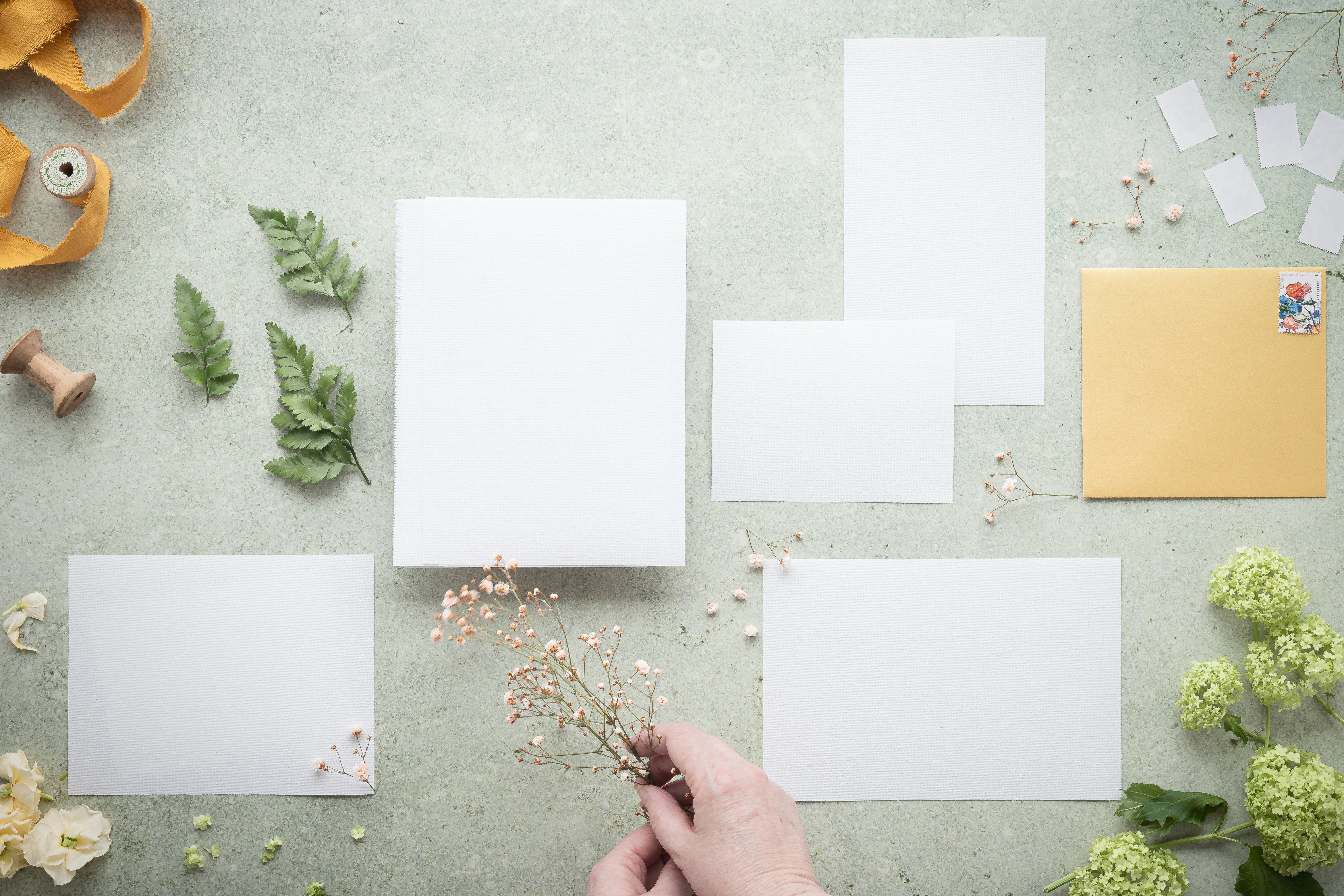 wedding stationery floral, wallpaper, Wedding Ceremony Programs: Design a Personal Touch 3