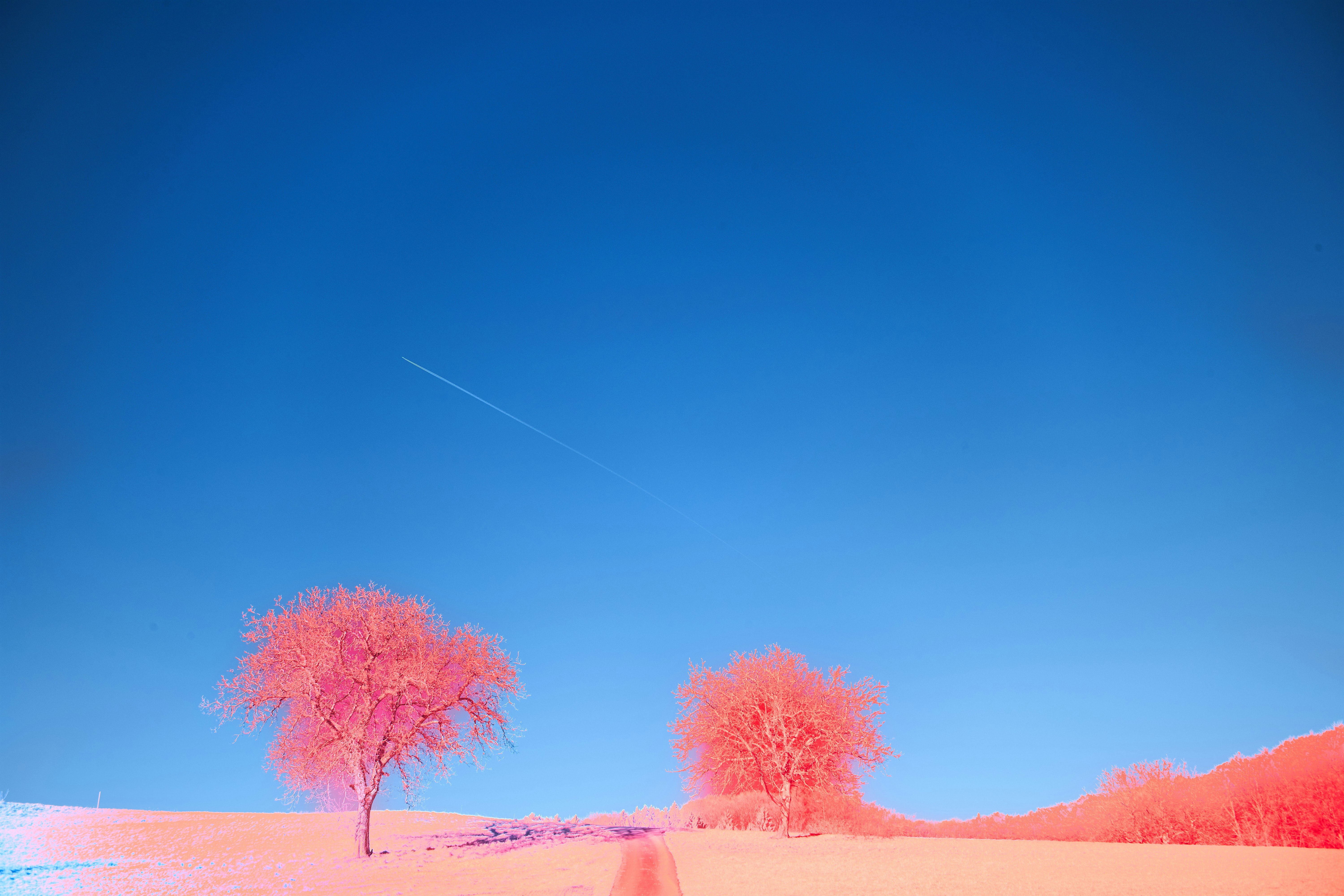 Photo by wolfgang_hasselmann