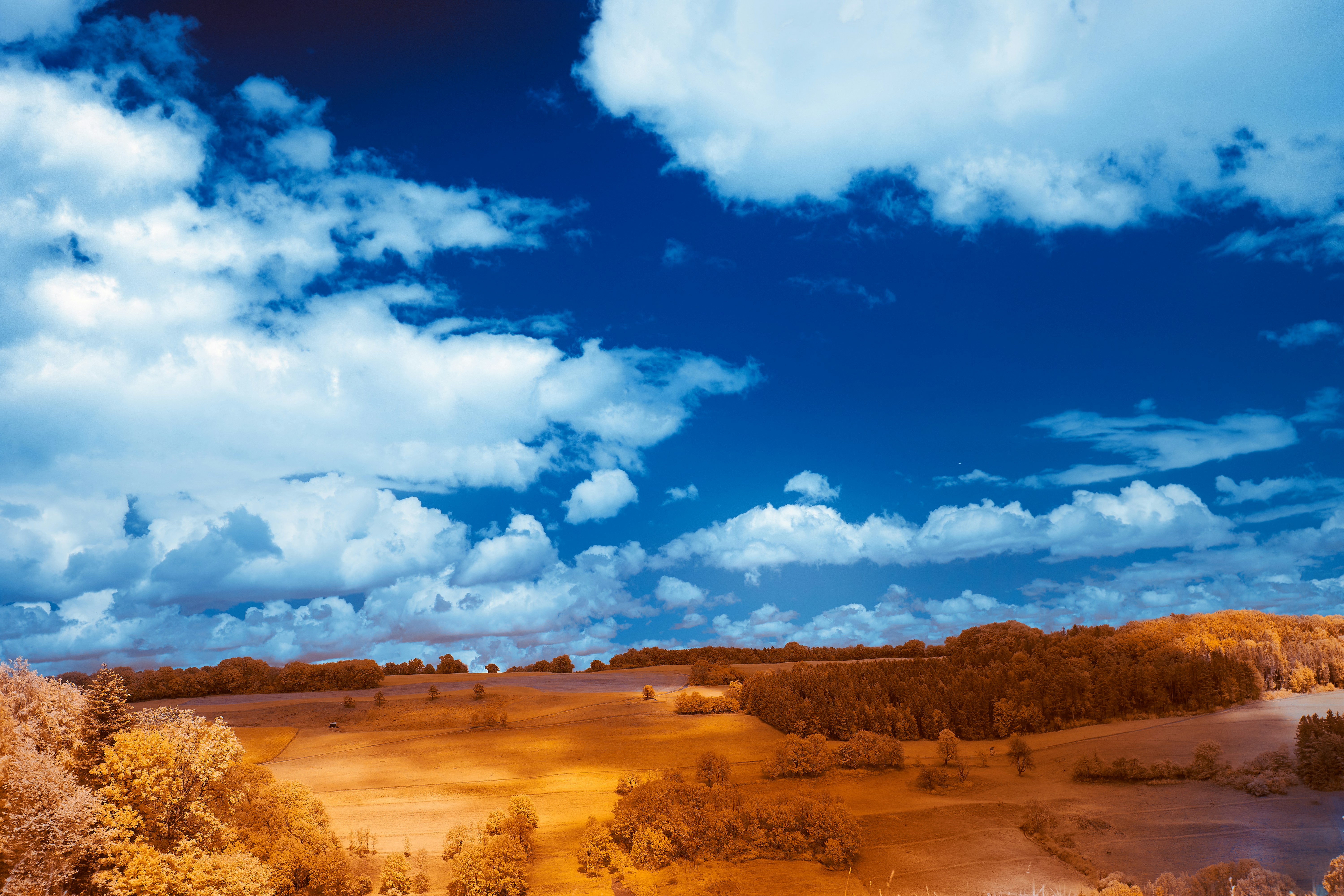 Photo by wolfgang_hasselmann