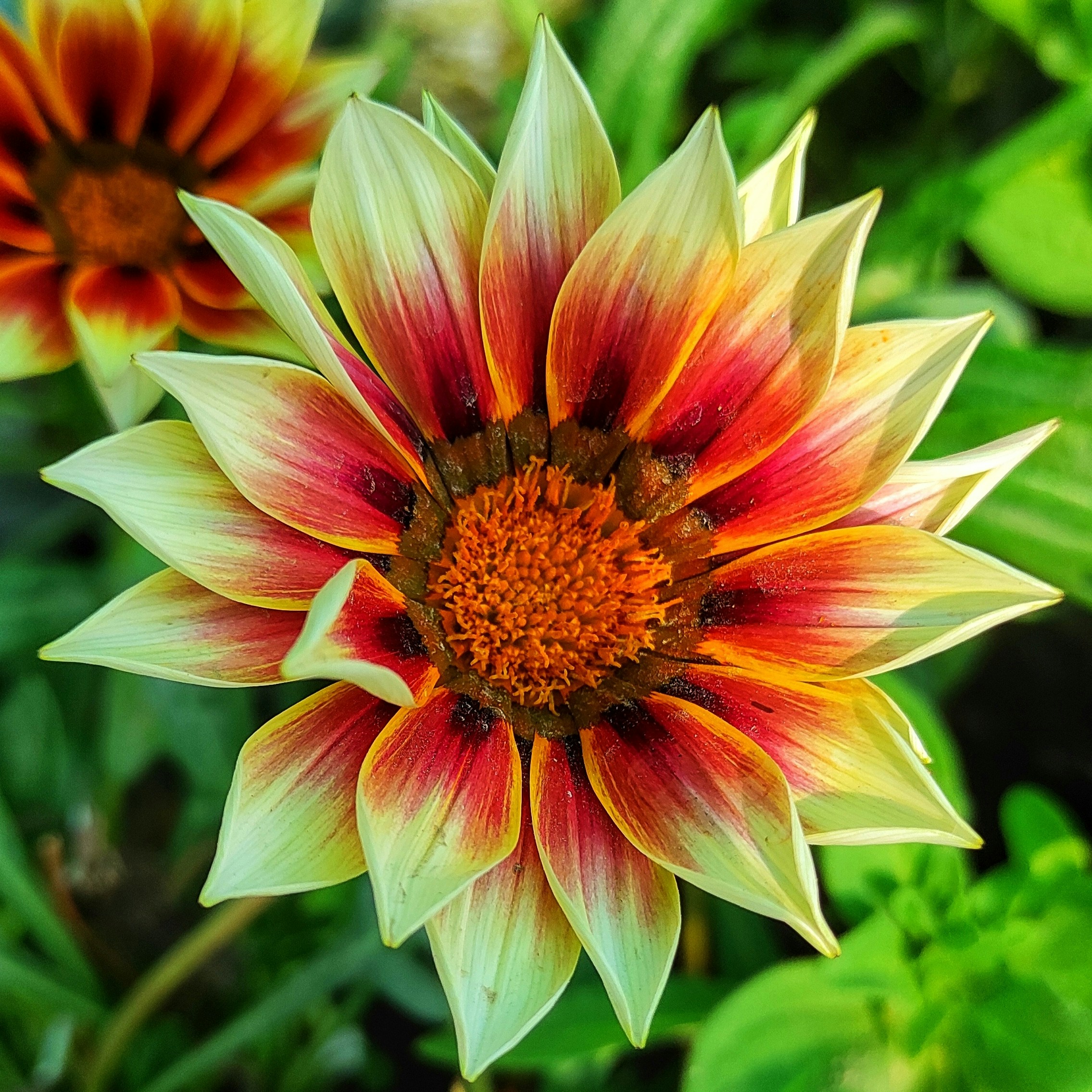 Photo by kvividsnaps