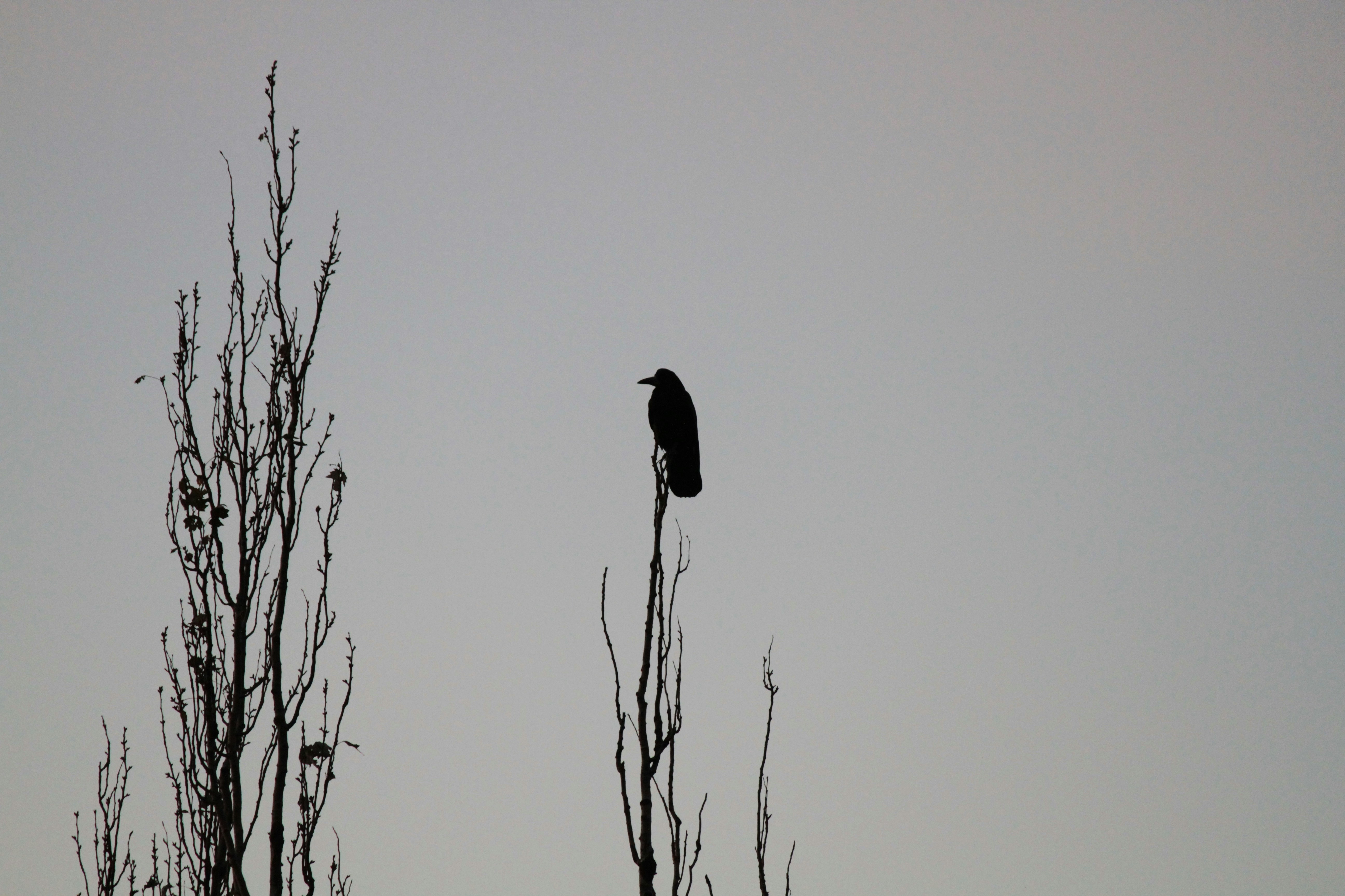 Photo by alexios2022