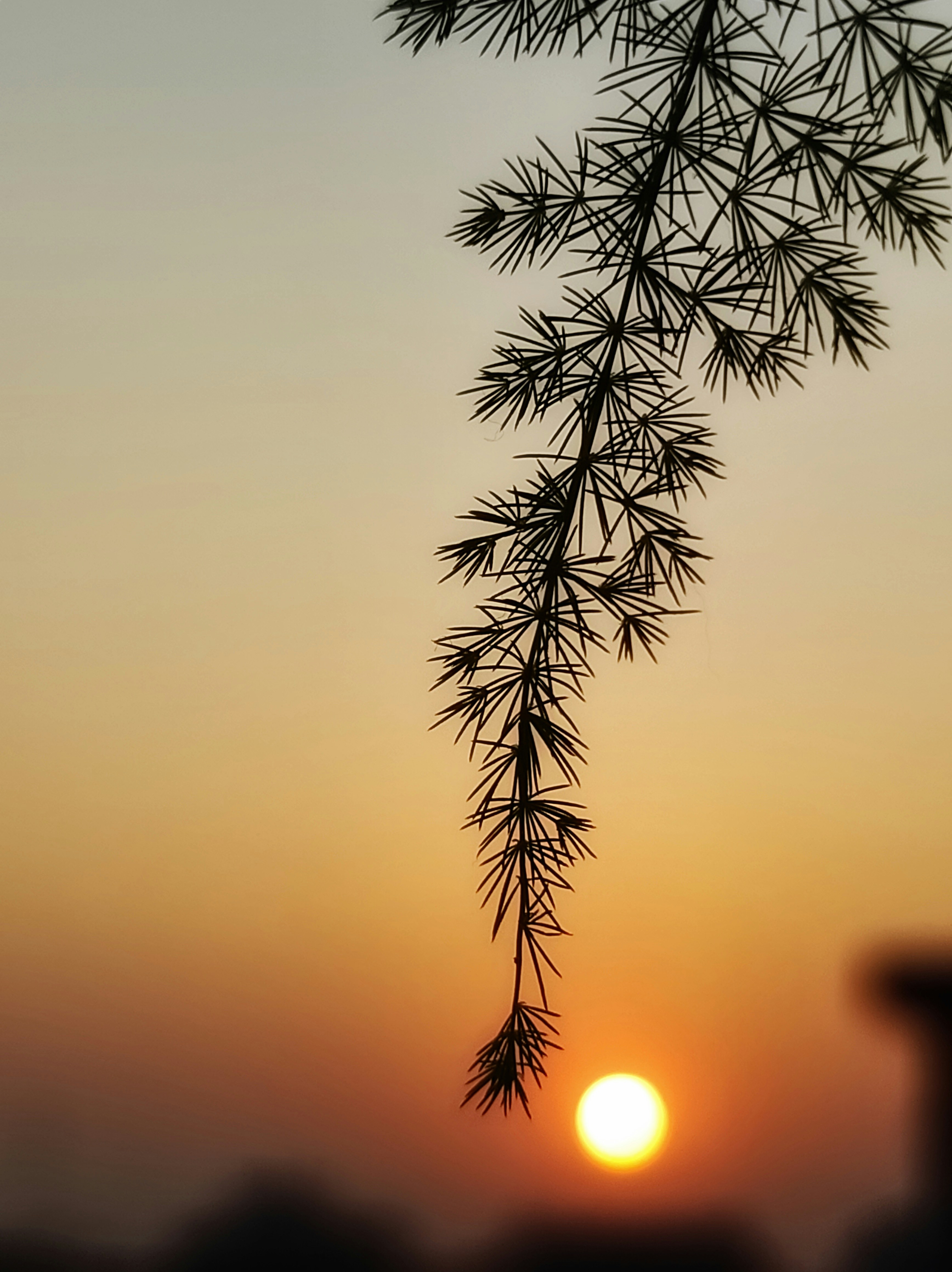 Photo by kvividsnaps