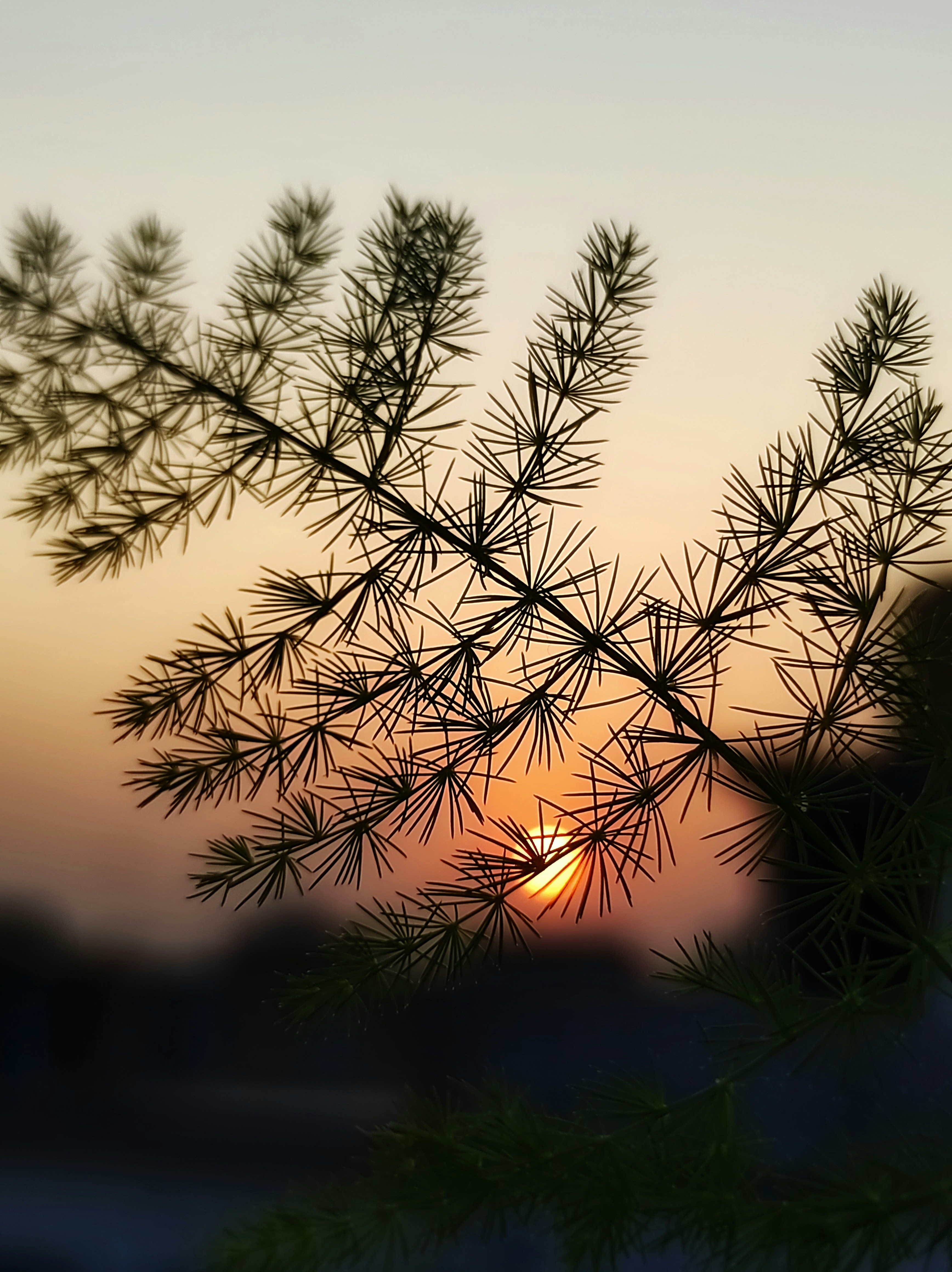 Photo by kvividsnaps