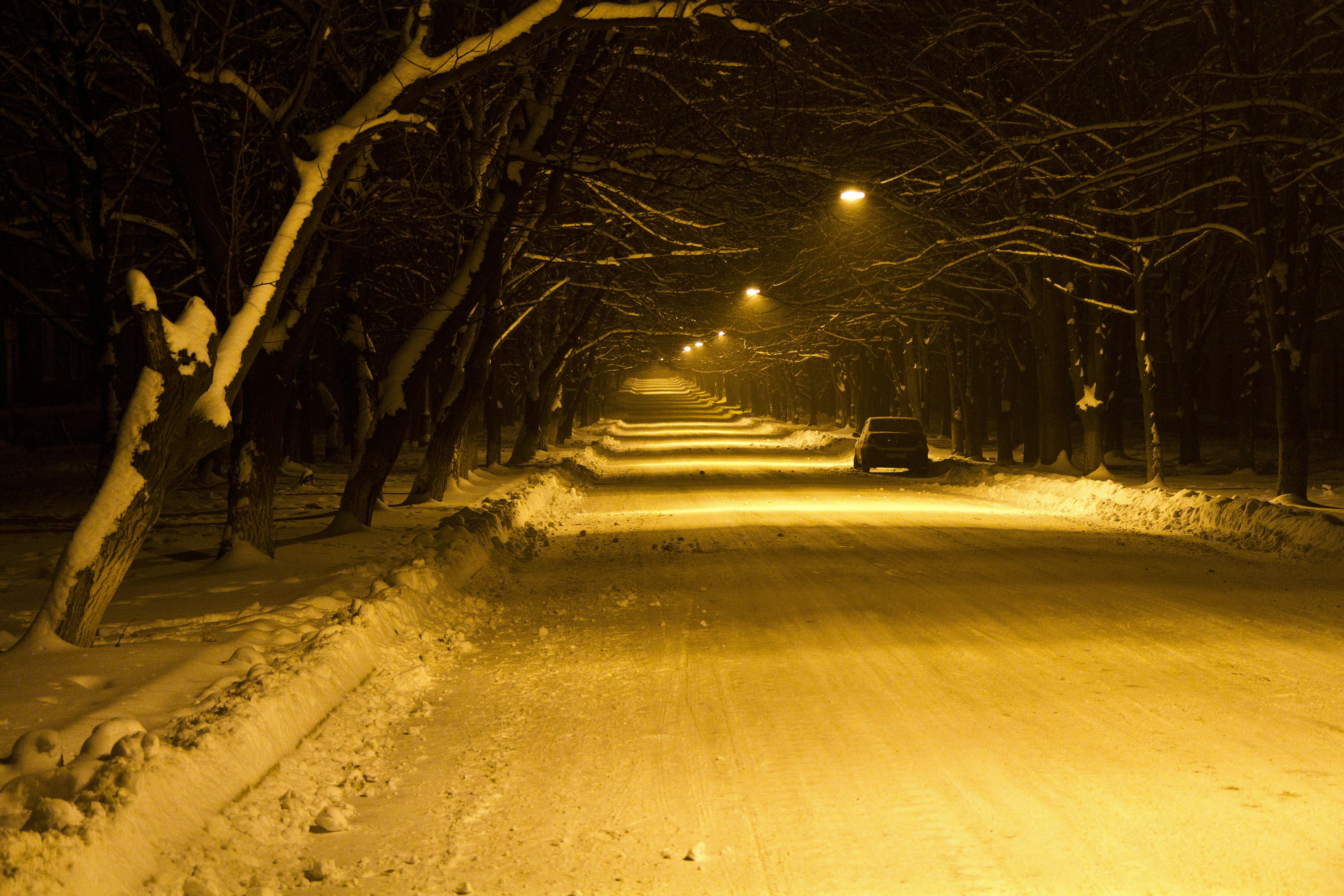 a snowy road at night