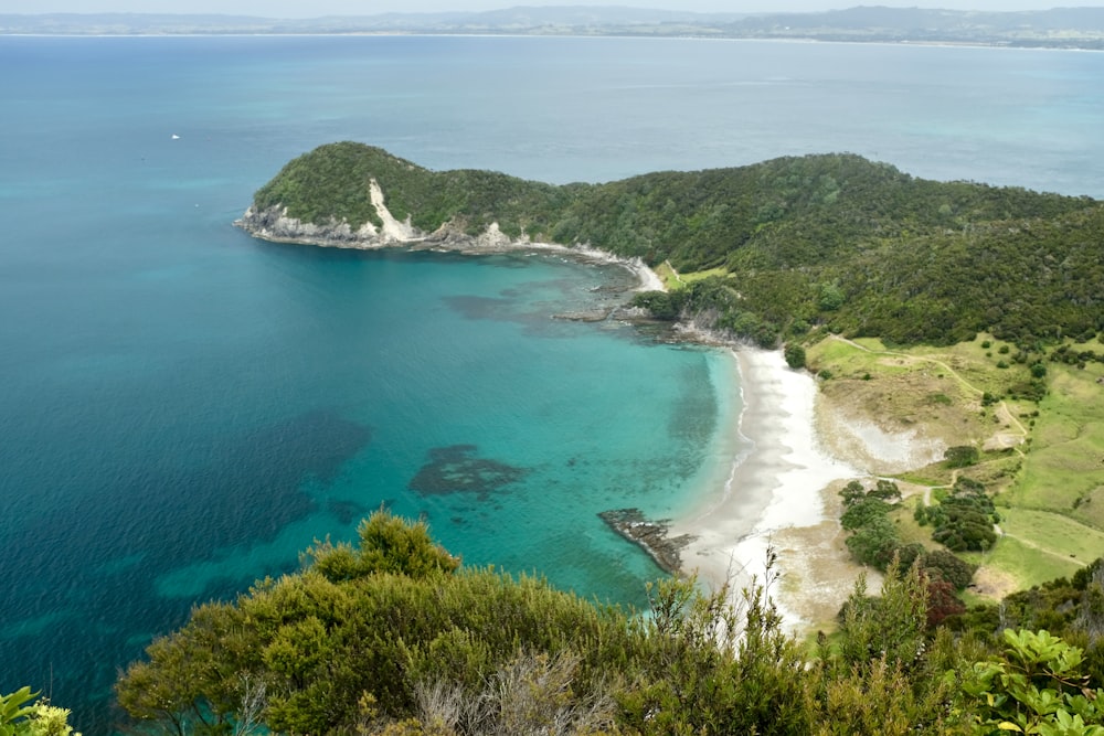 a beach with trees and a body of water