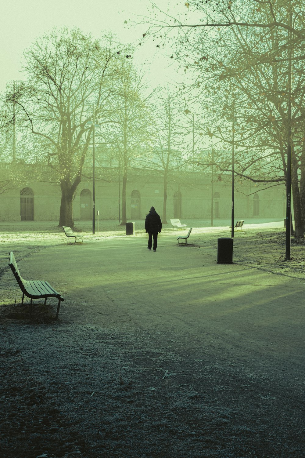 a person walking in a park