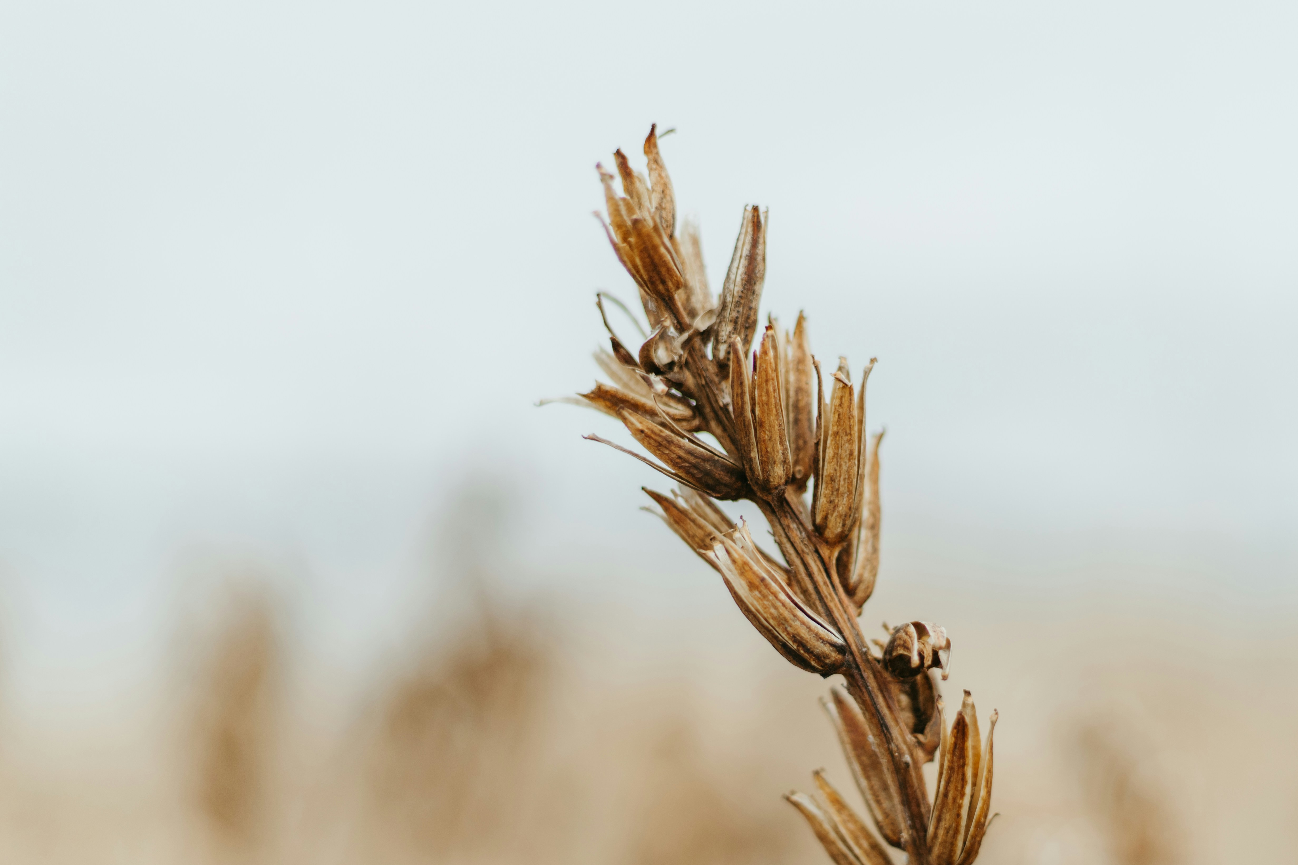 Photo by janwalterluigi