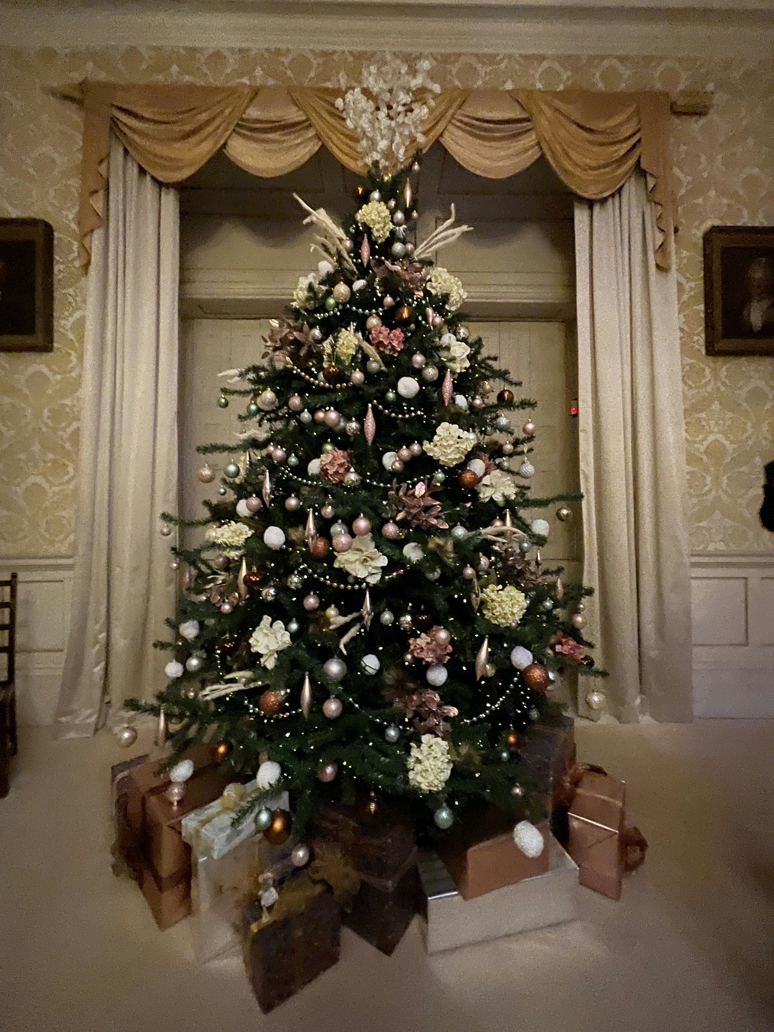 a decorated christmas tree