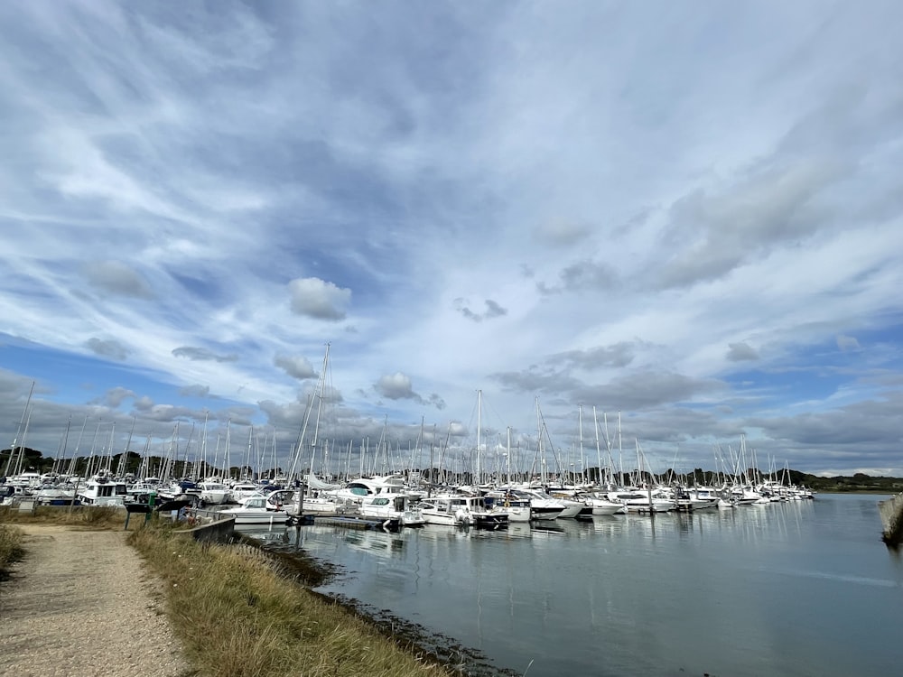 uma marina cheia de barcos