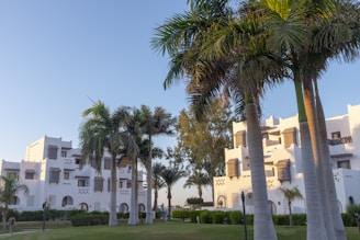 a building with palm trees