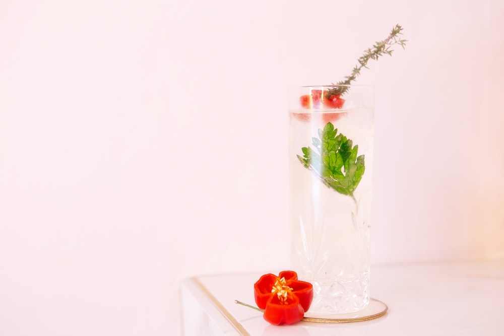 a glass vase with a plant in it
