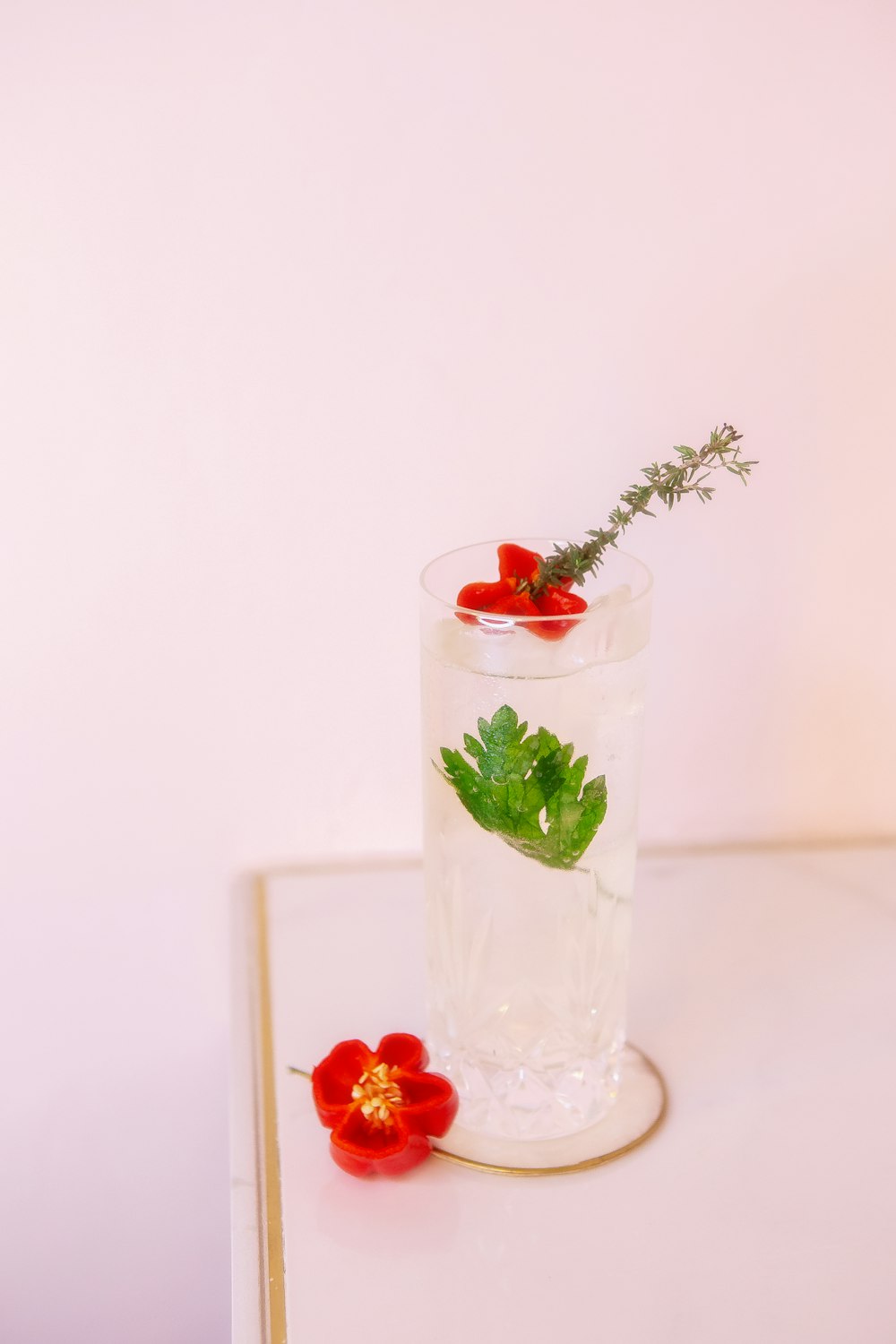a glass with a plant in it