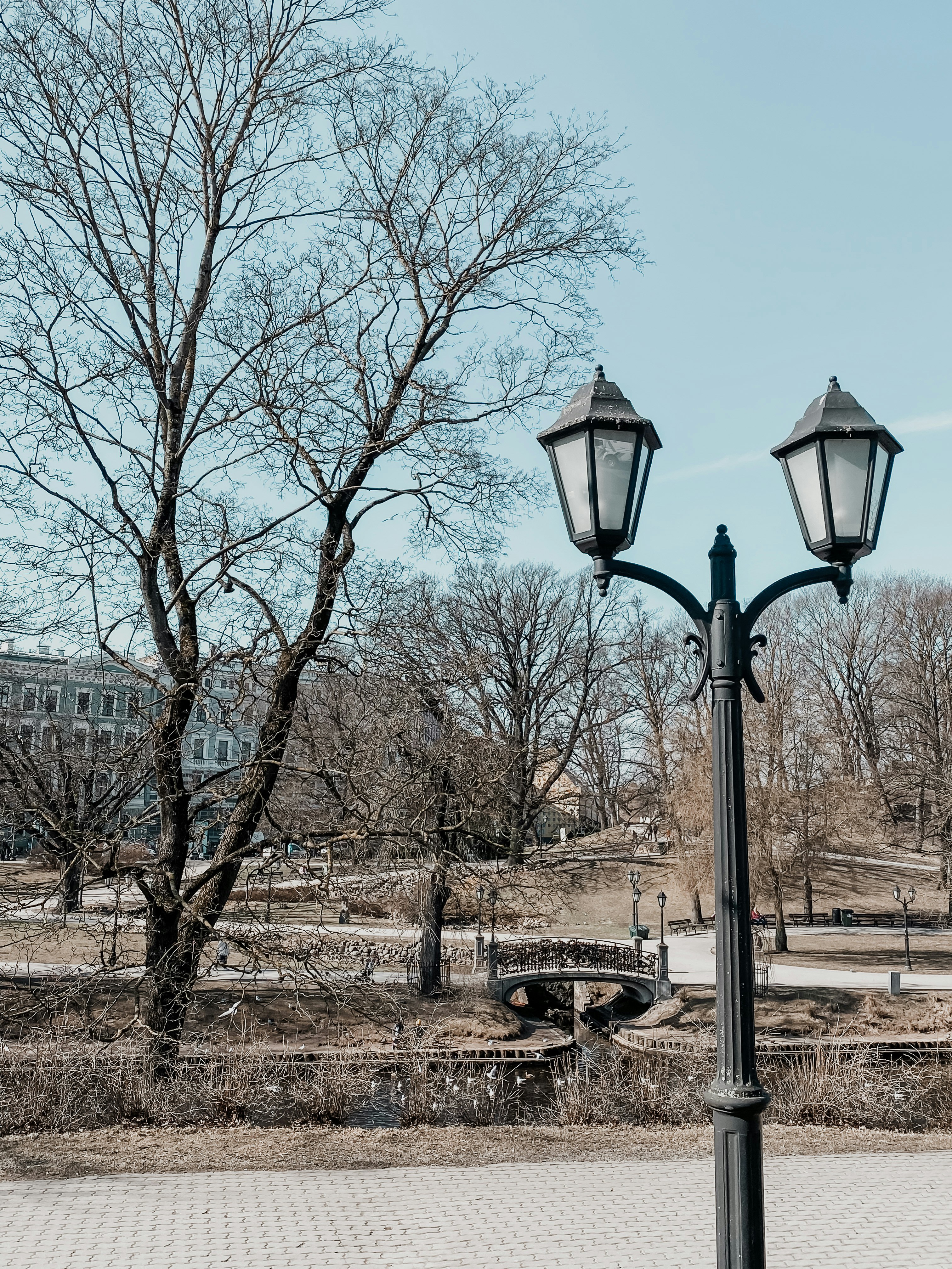 背景に木々と橋のある街灯の写真 – Unsplashの無料ラトビア写真