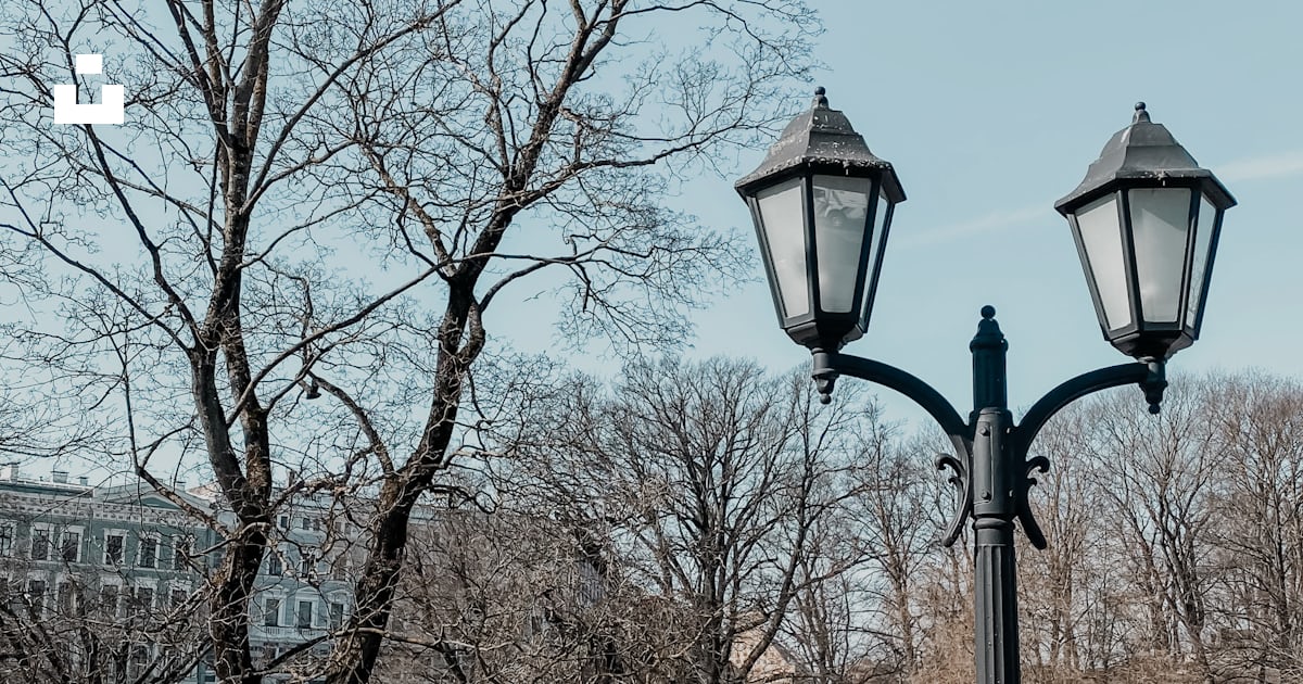 背景に木々と橋のある街灯の写真 – Unsplashの無料ラトビア写真