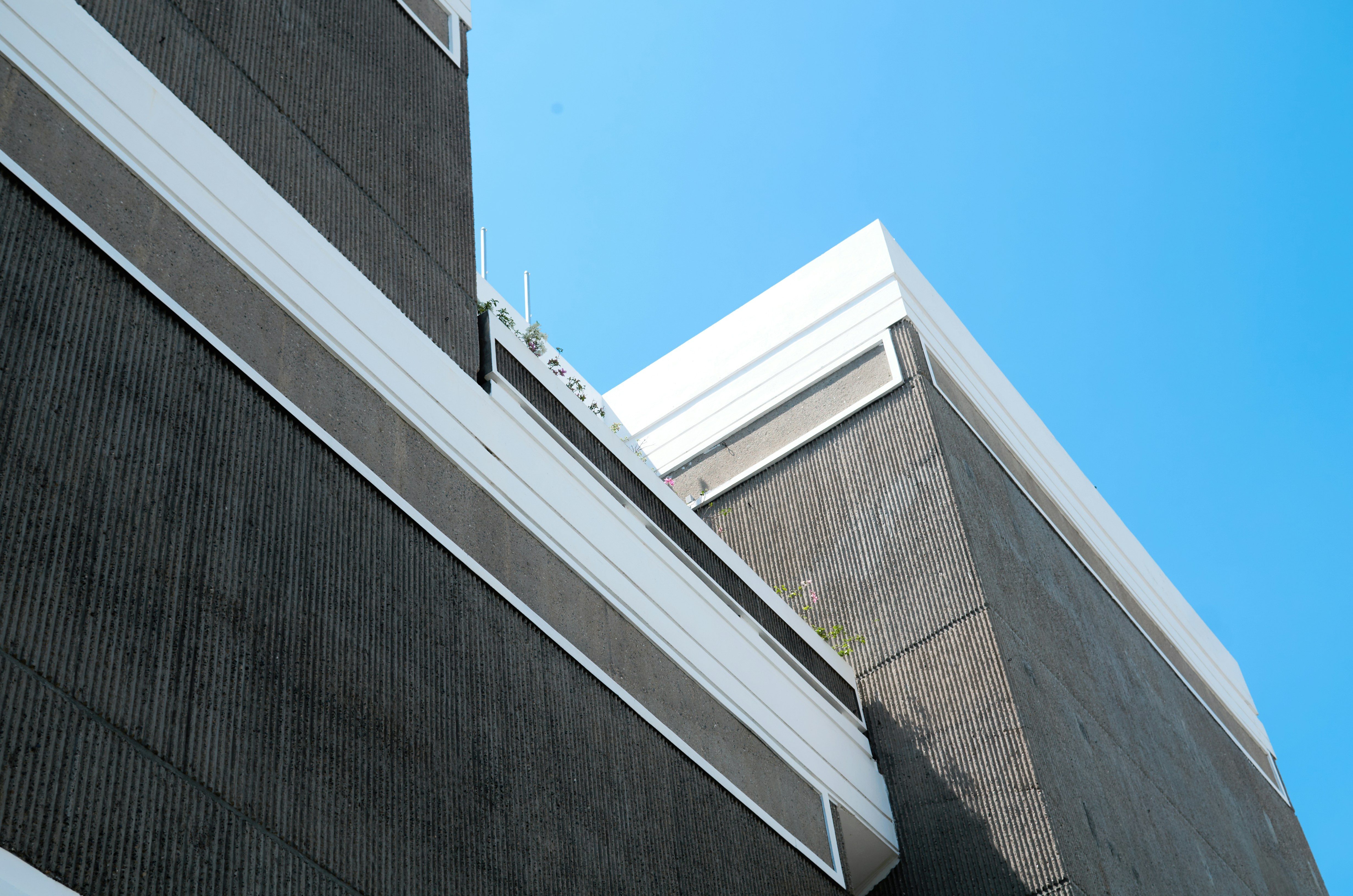 Photo by mvalentinoph