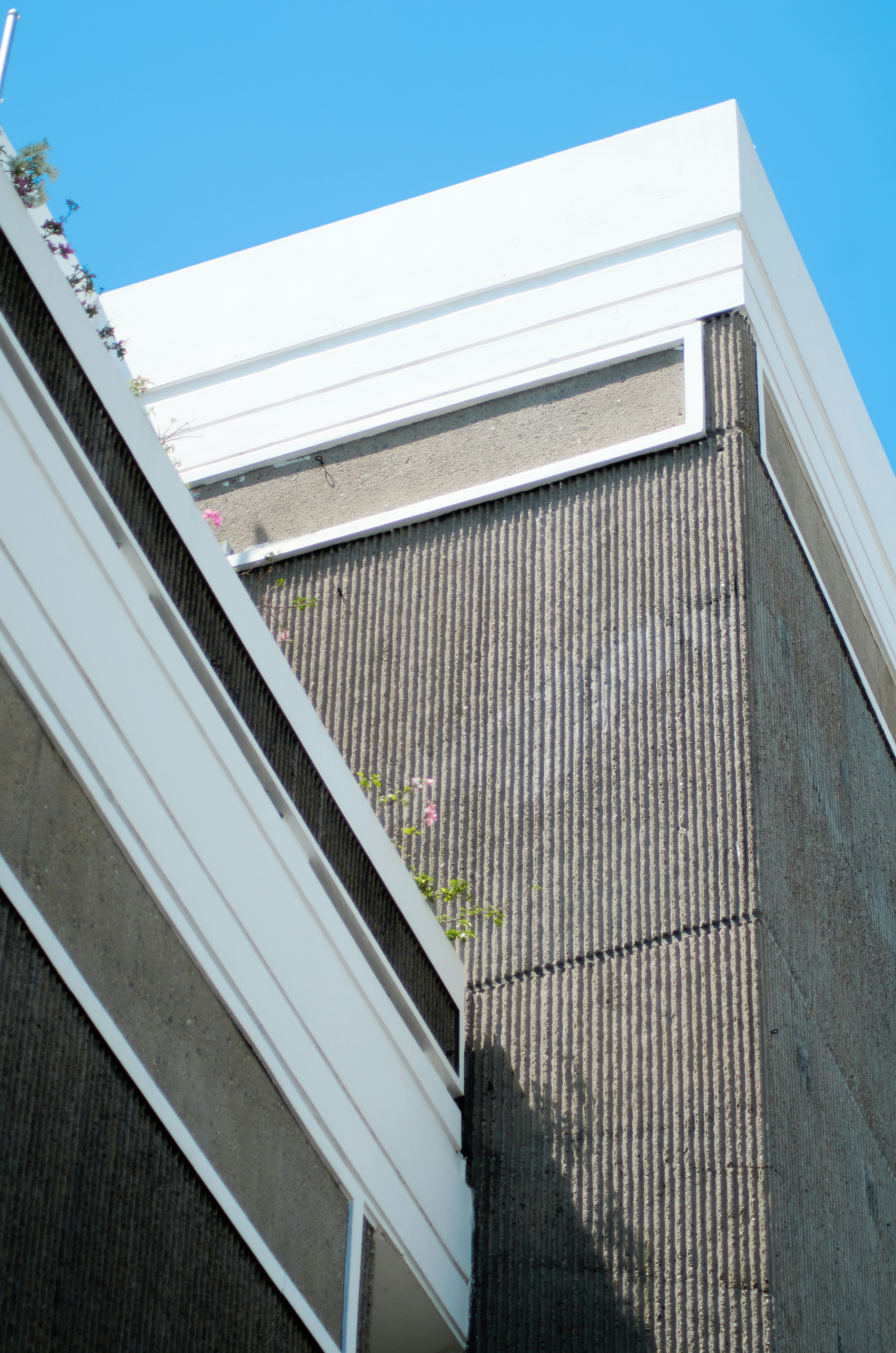 Photo by mvalentinoph