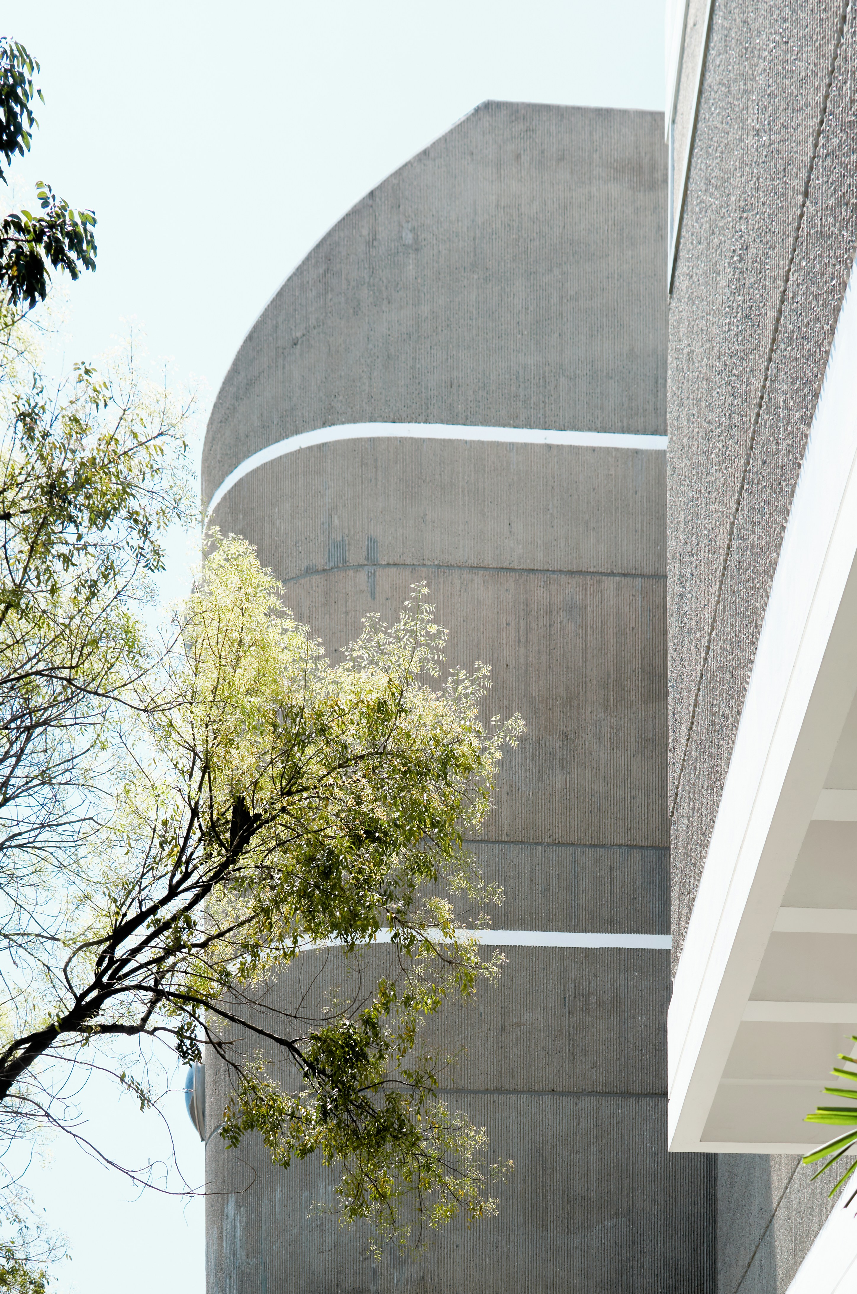 Photo by mvalentinoph