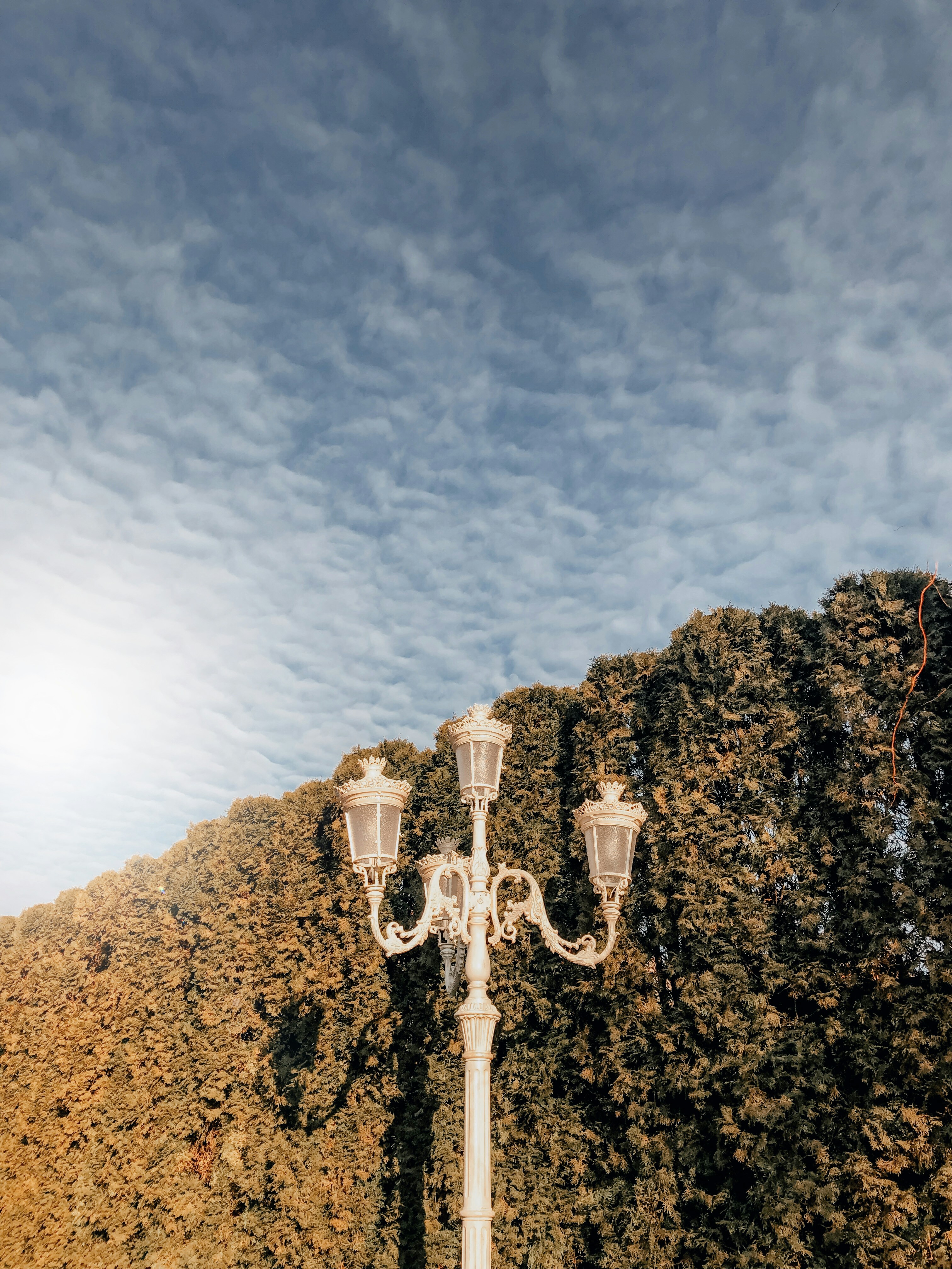 Photo by vitalymazur