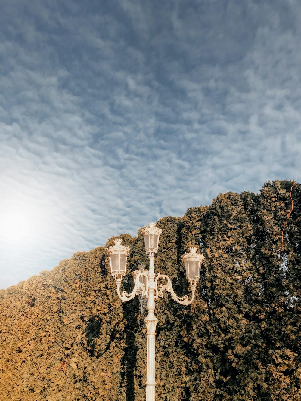 a group of light posts on a cliff