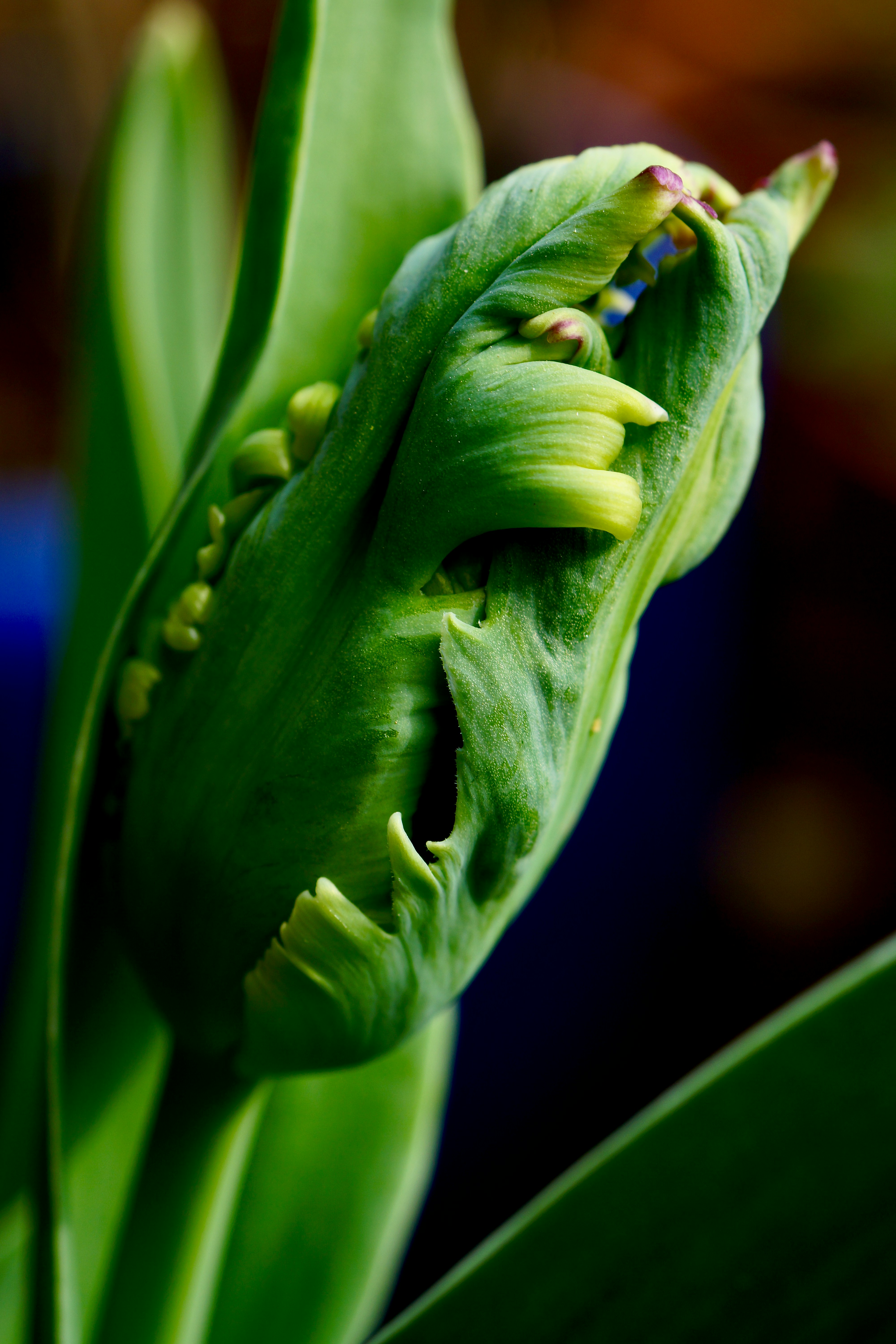 Photo by peterburdon