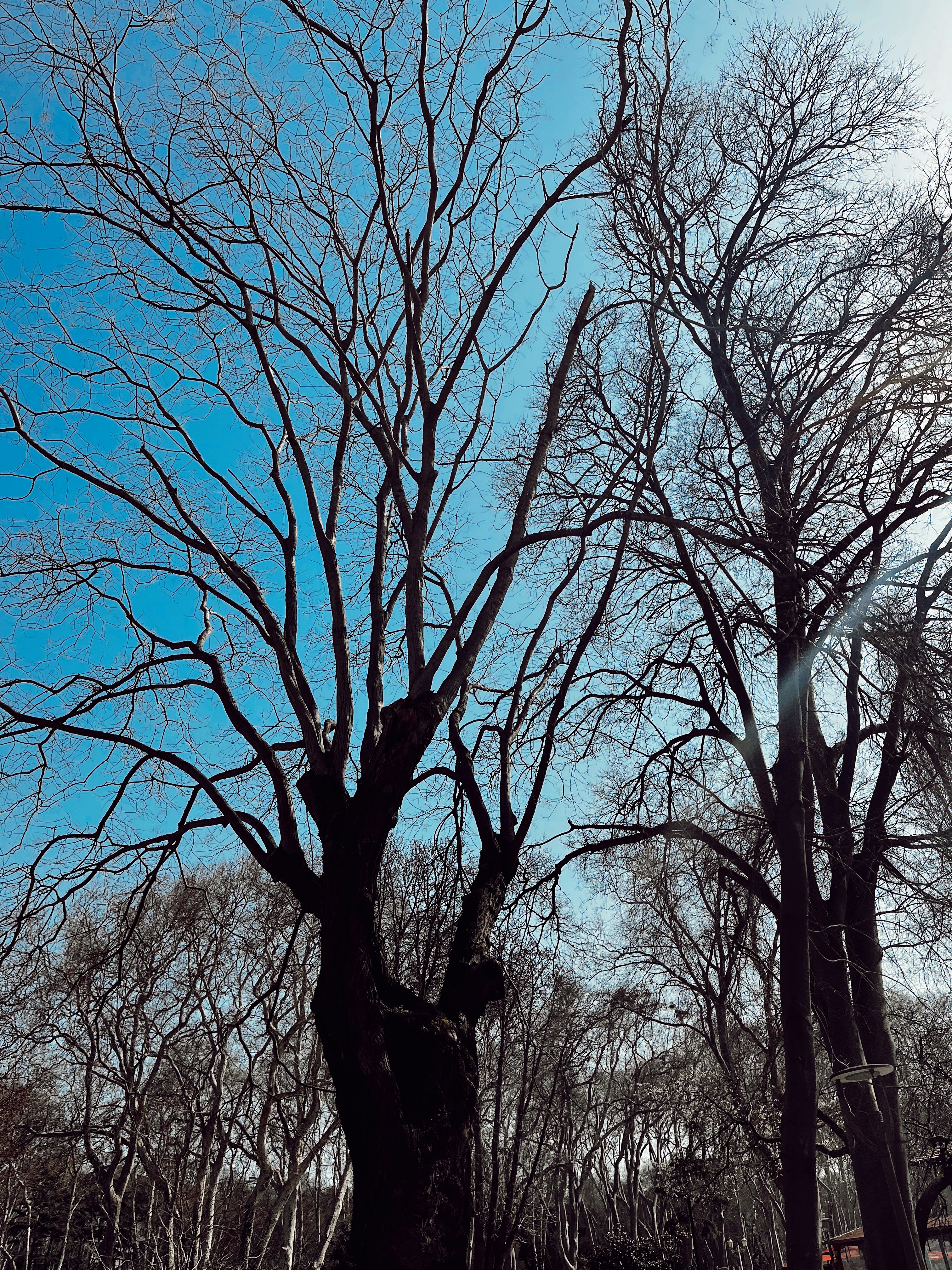 Photo by berfinisildak