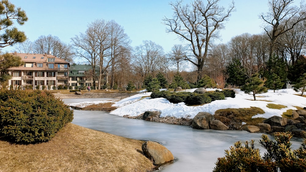 a river with rocks and trees