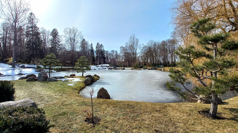 a lake with trees and rocks