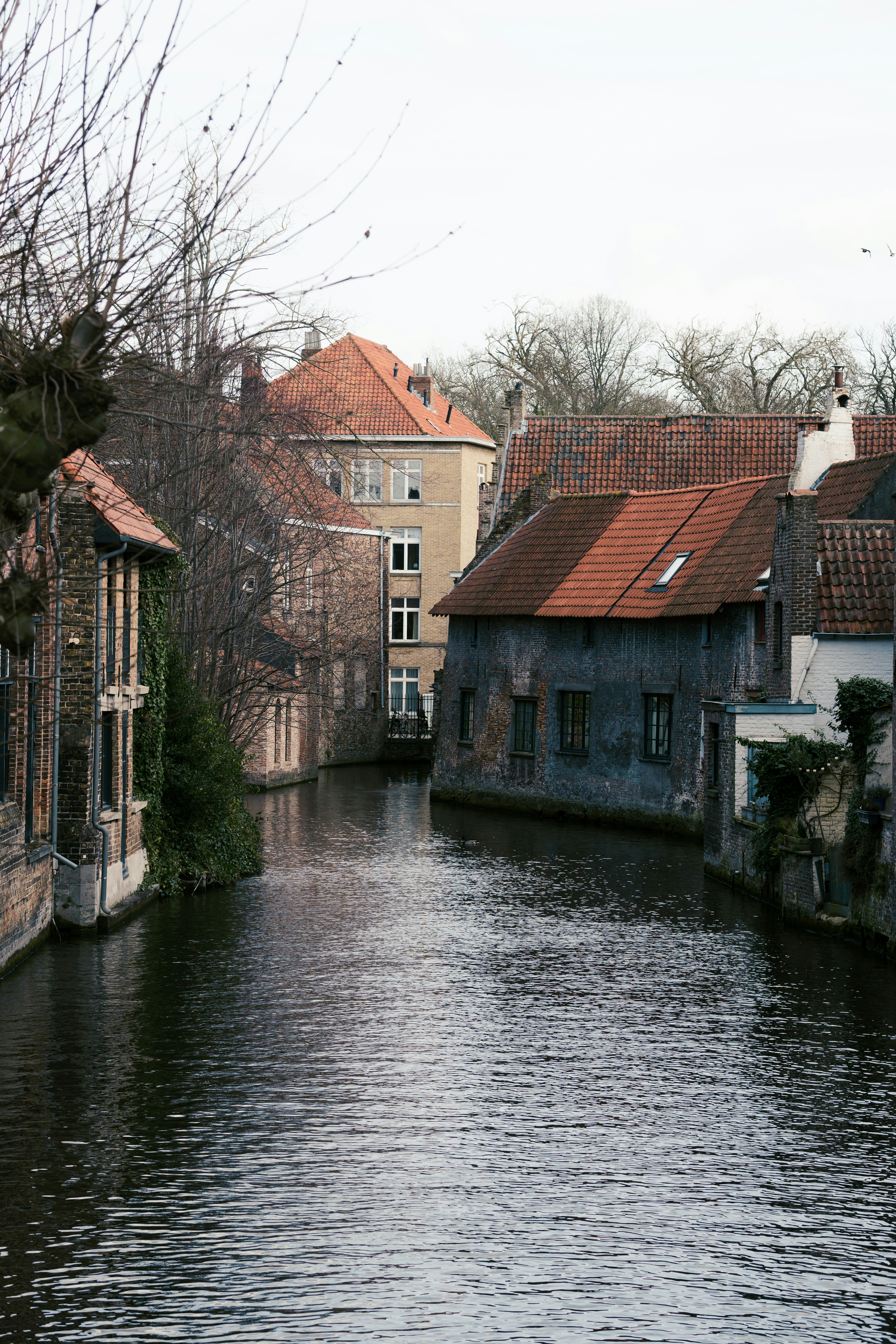 Photo by alessandrocavestro_