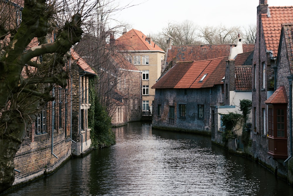 a canal with buildings along it with Bruges in the background