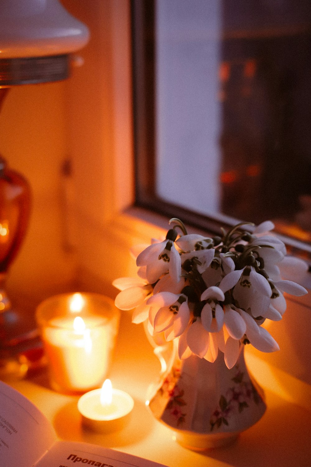 a vase with white flowers